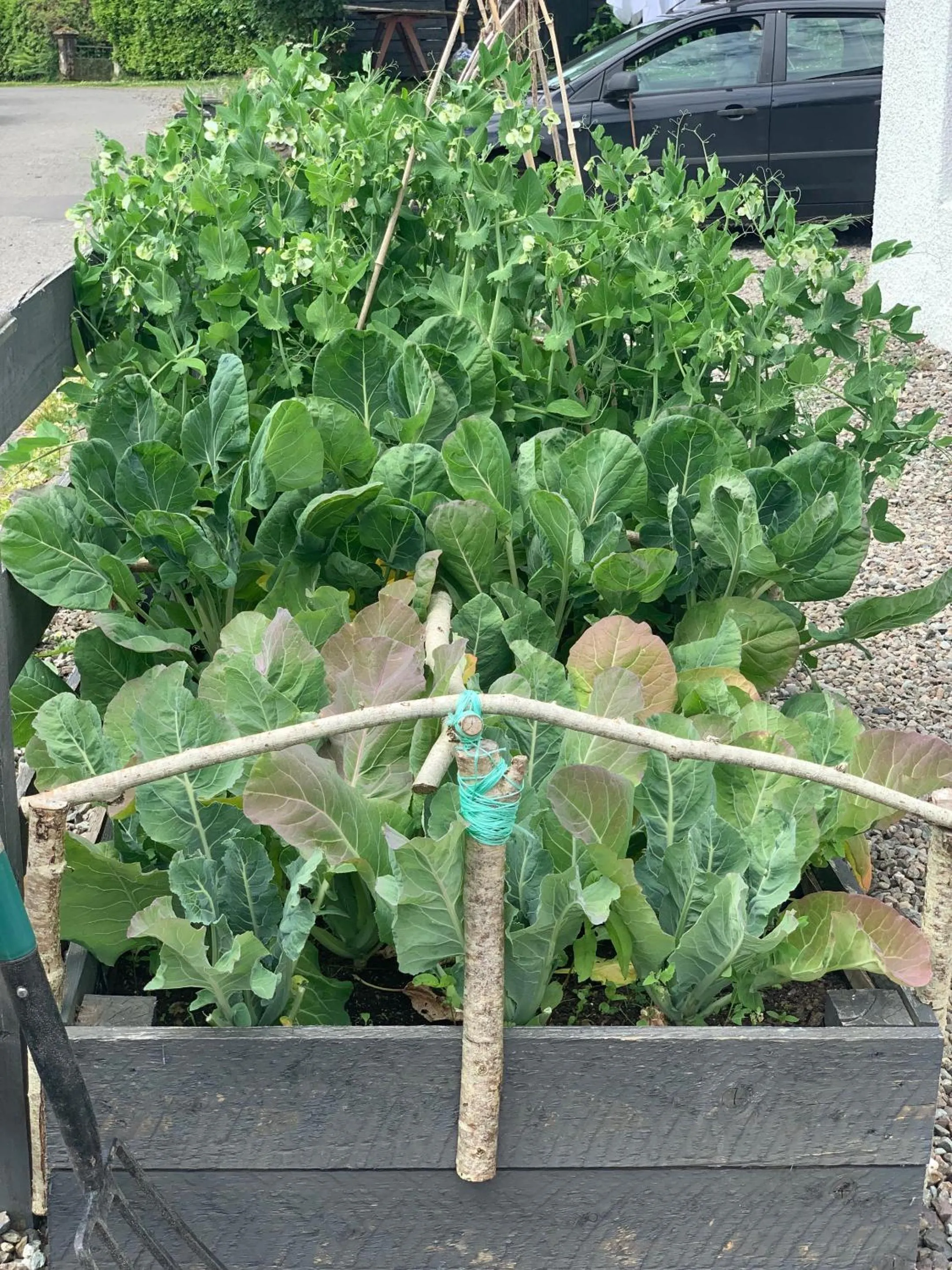 Garden in Wester Auchraw Longhouse Artful highland stay