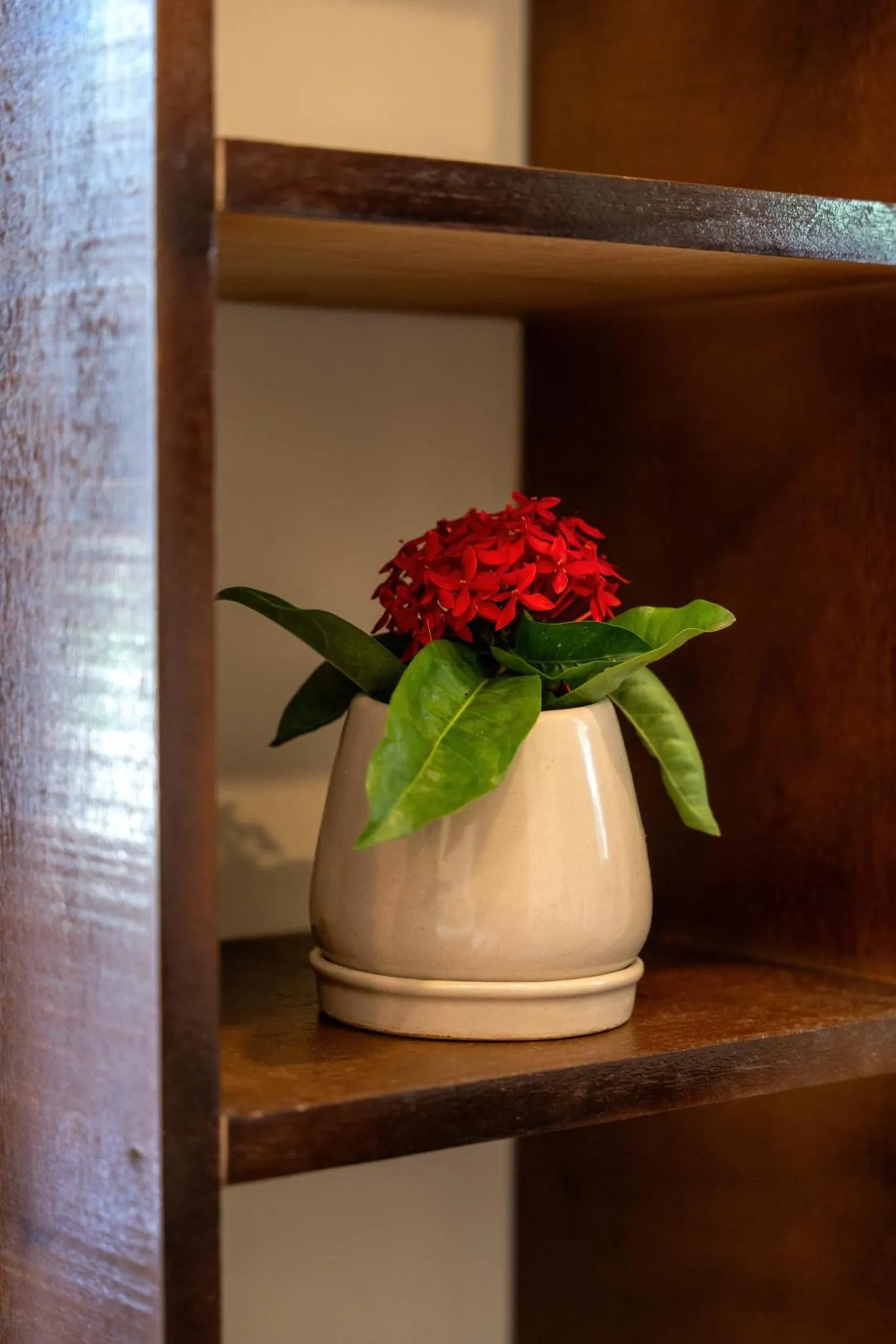 Decorative detail in Coconut Bay Eco Resort