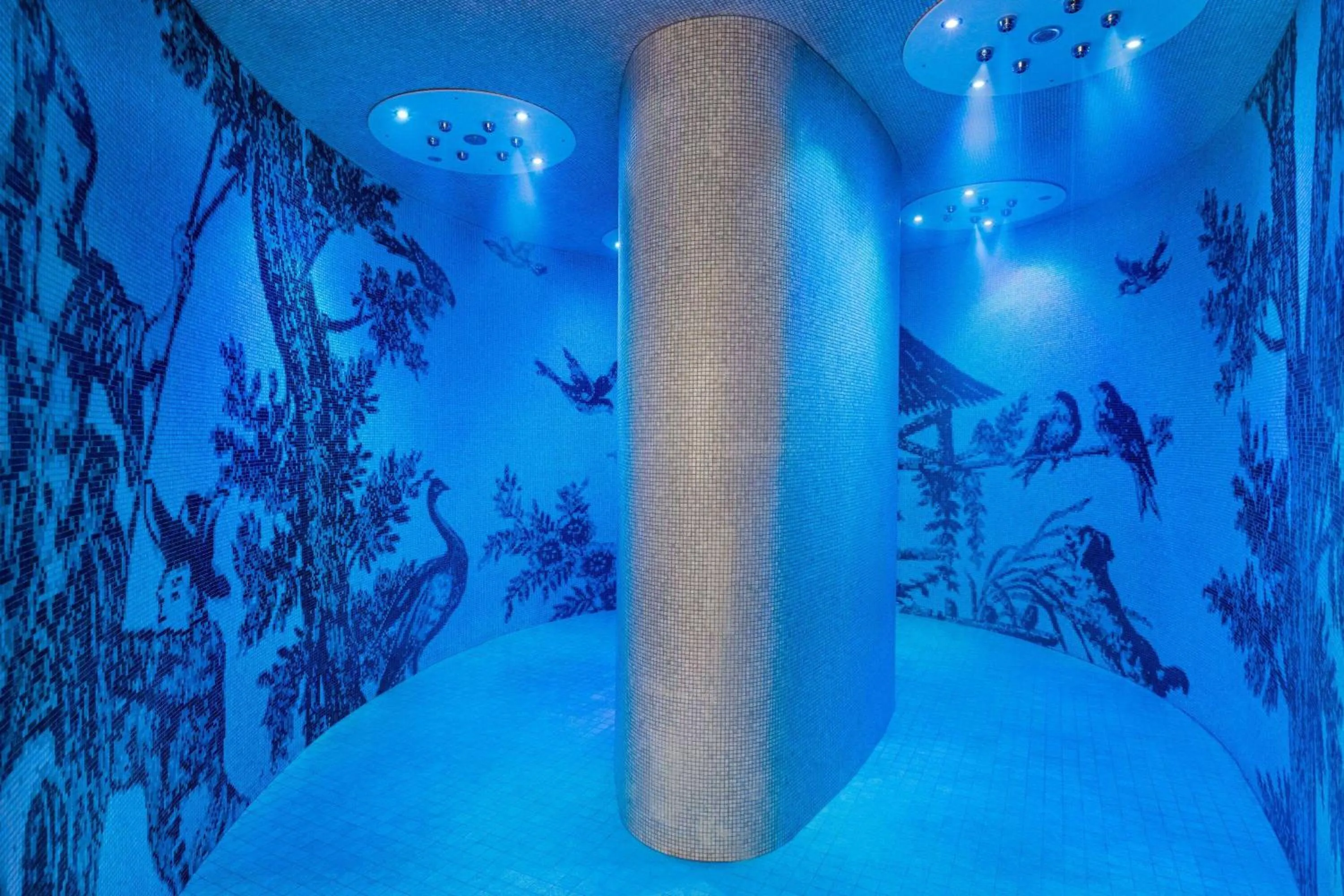 Spa and wellness centre/facilities in Dolce by Wyndham Versailles - Domaine du Montcel