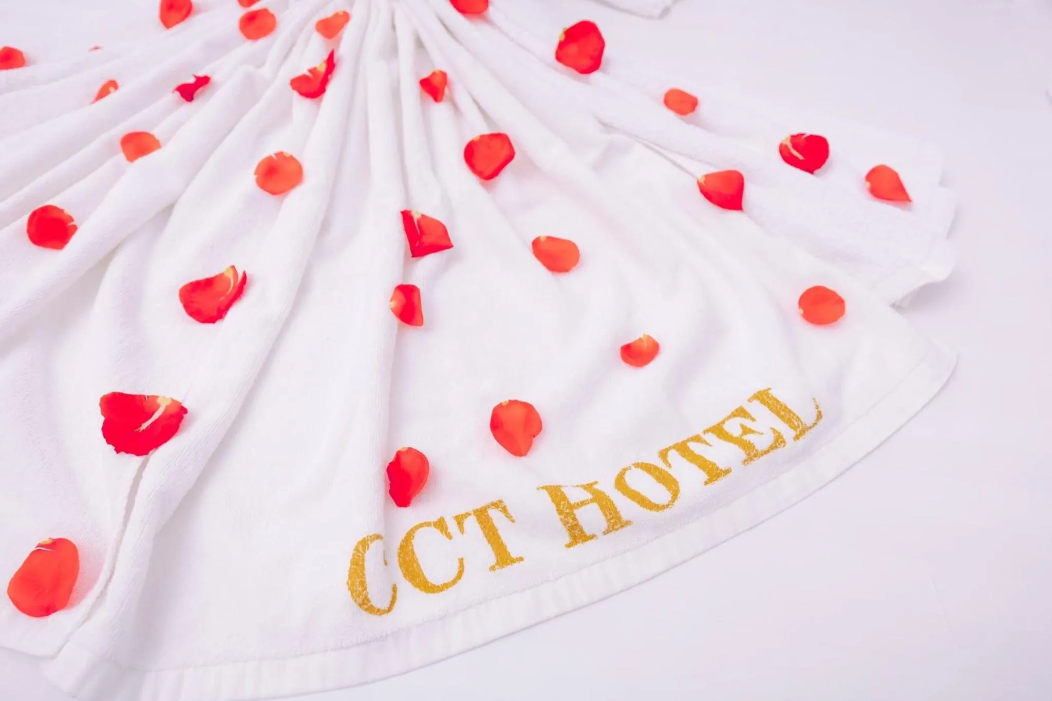 Text overlay in CCT Luxury Hotel