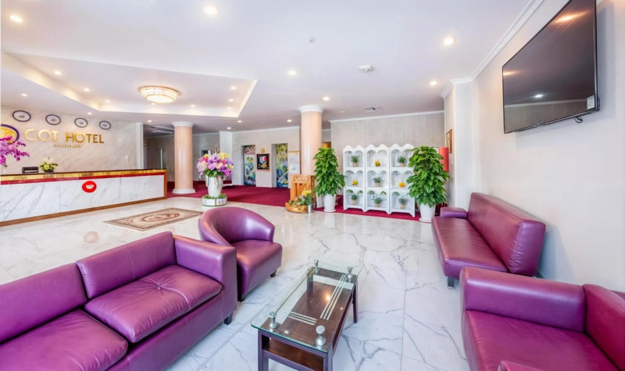 TV and multimedia in CCT Luxury Hotel