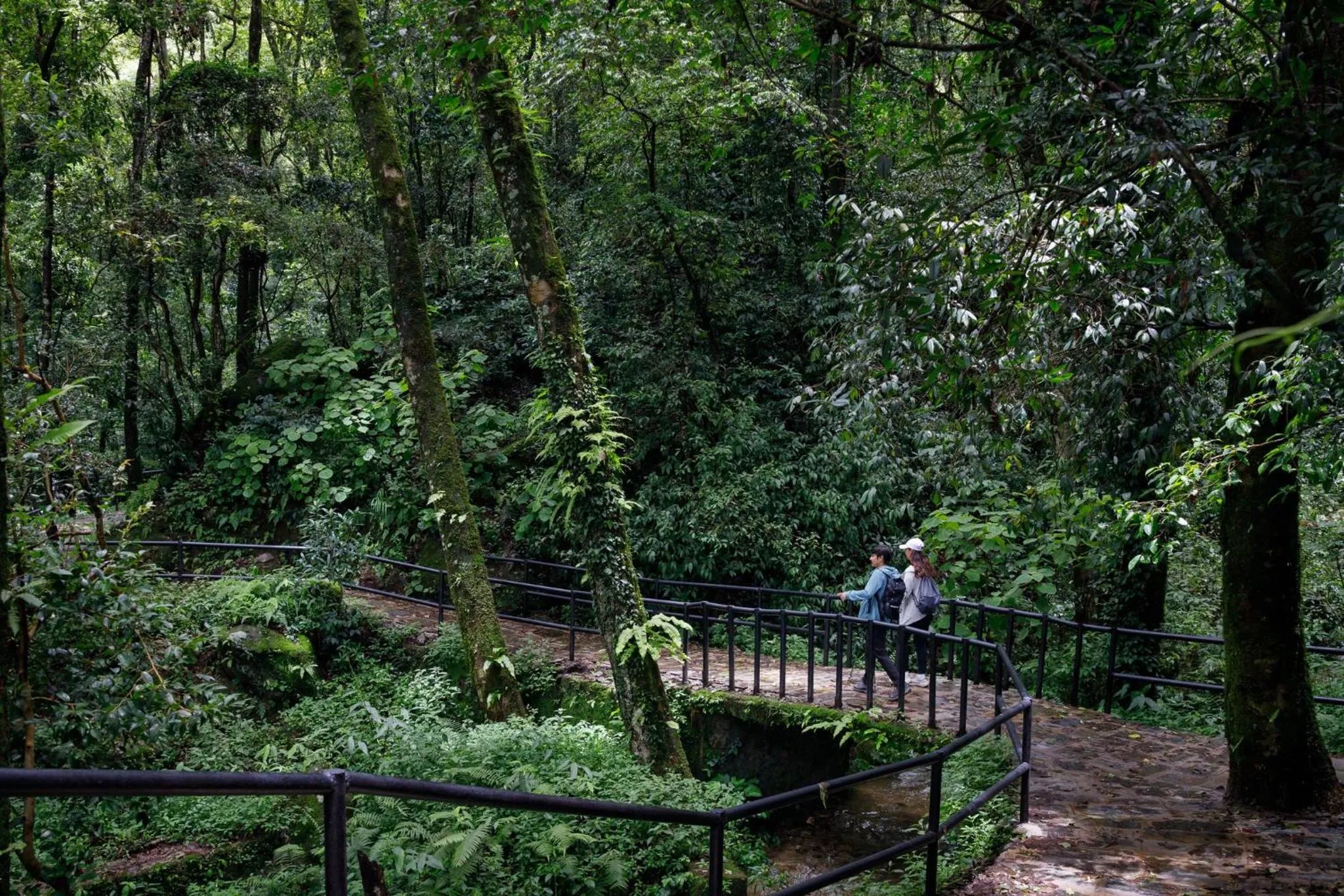 Area and facilities in Holiday Inn Resort Kathmandu Budhanilkantha by IHG