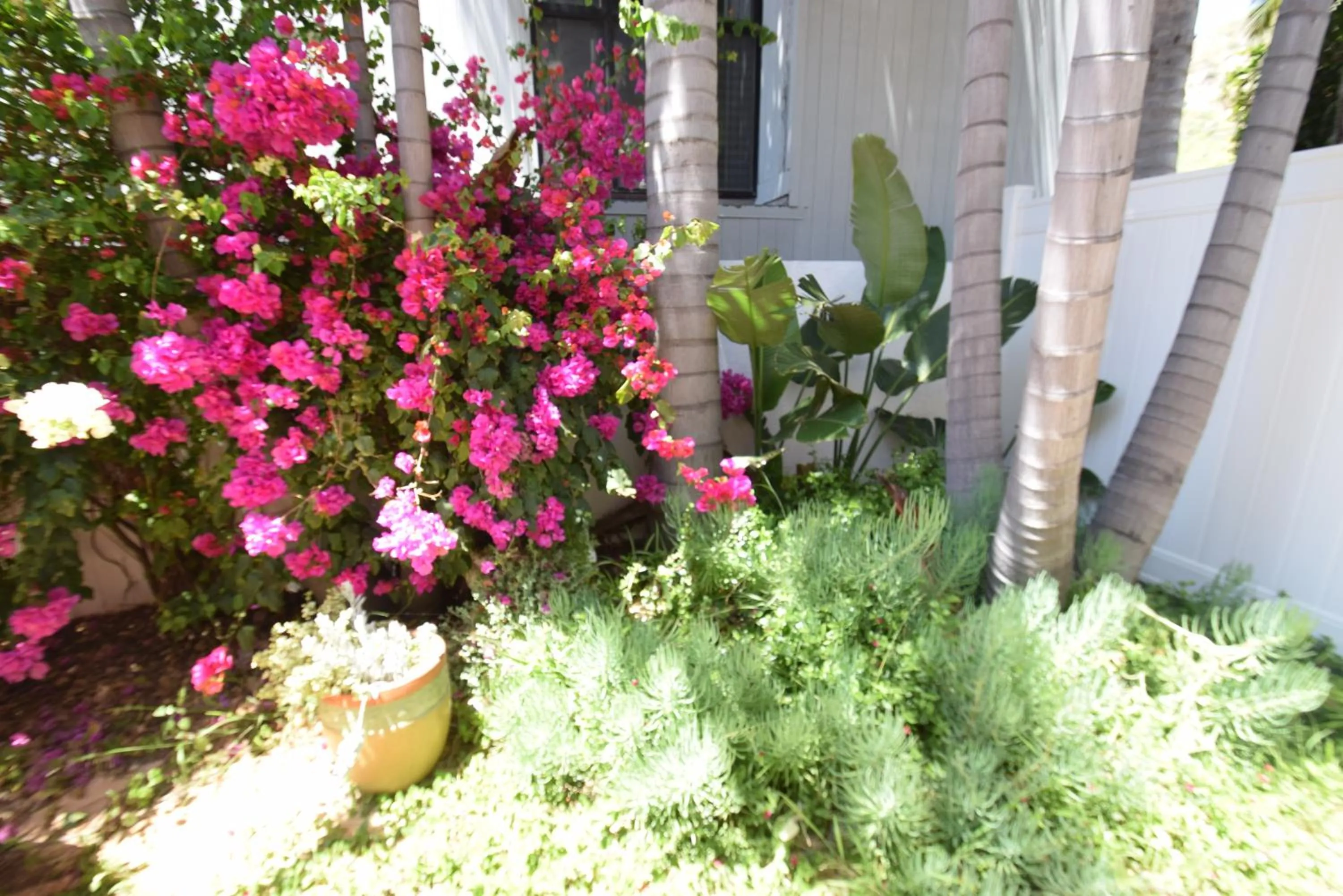Garden in Malibu Private Beach Apartments