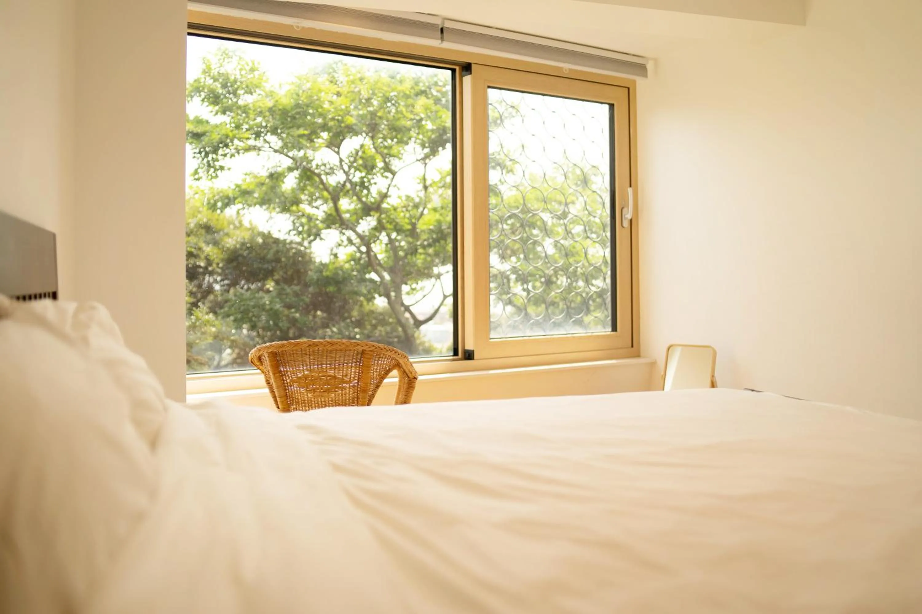 Bed in Backpackers Villa