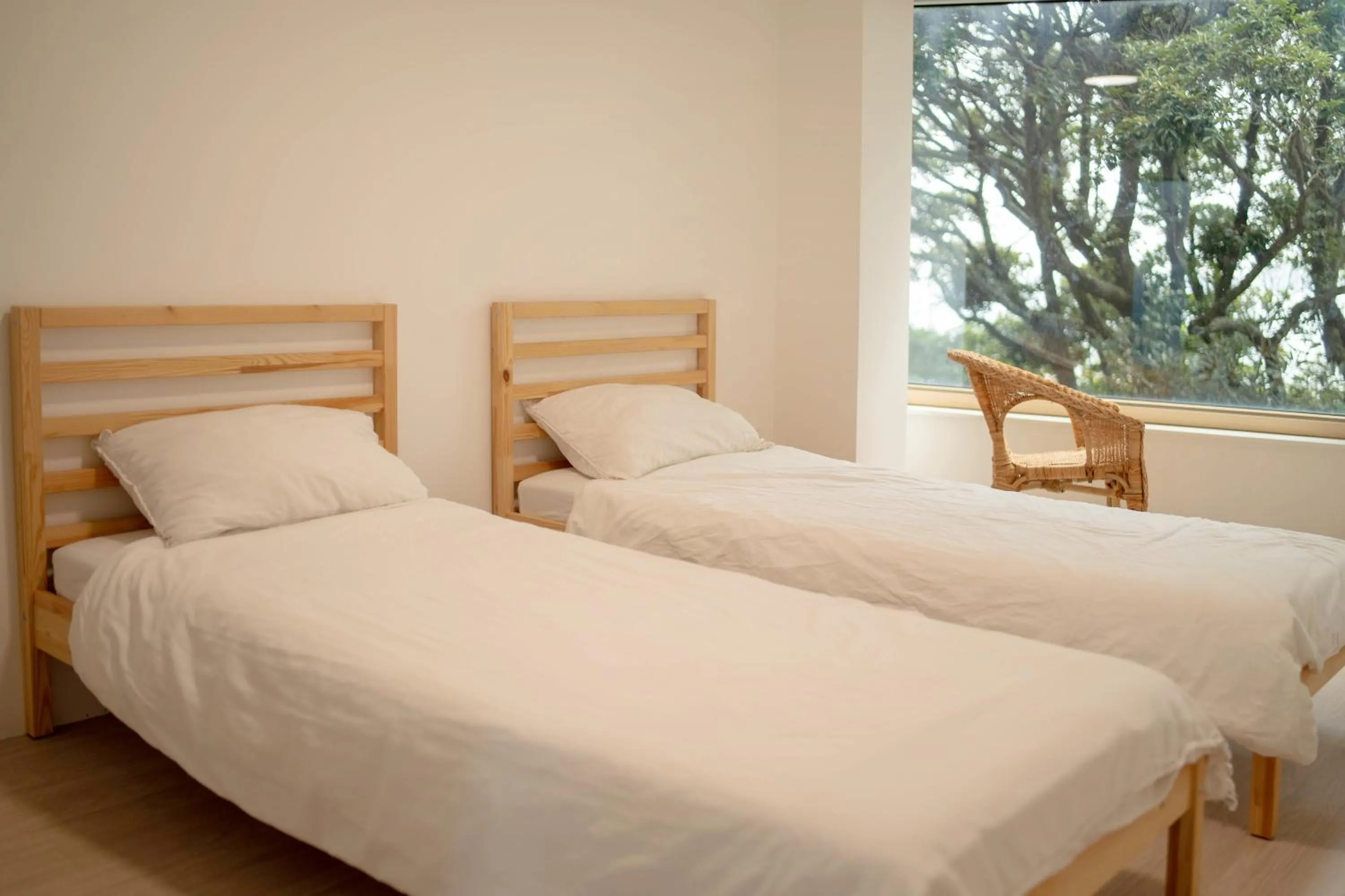 Bed in Backpackers Villa