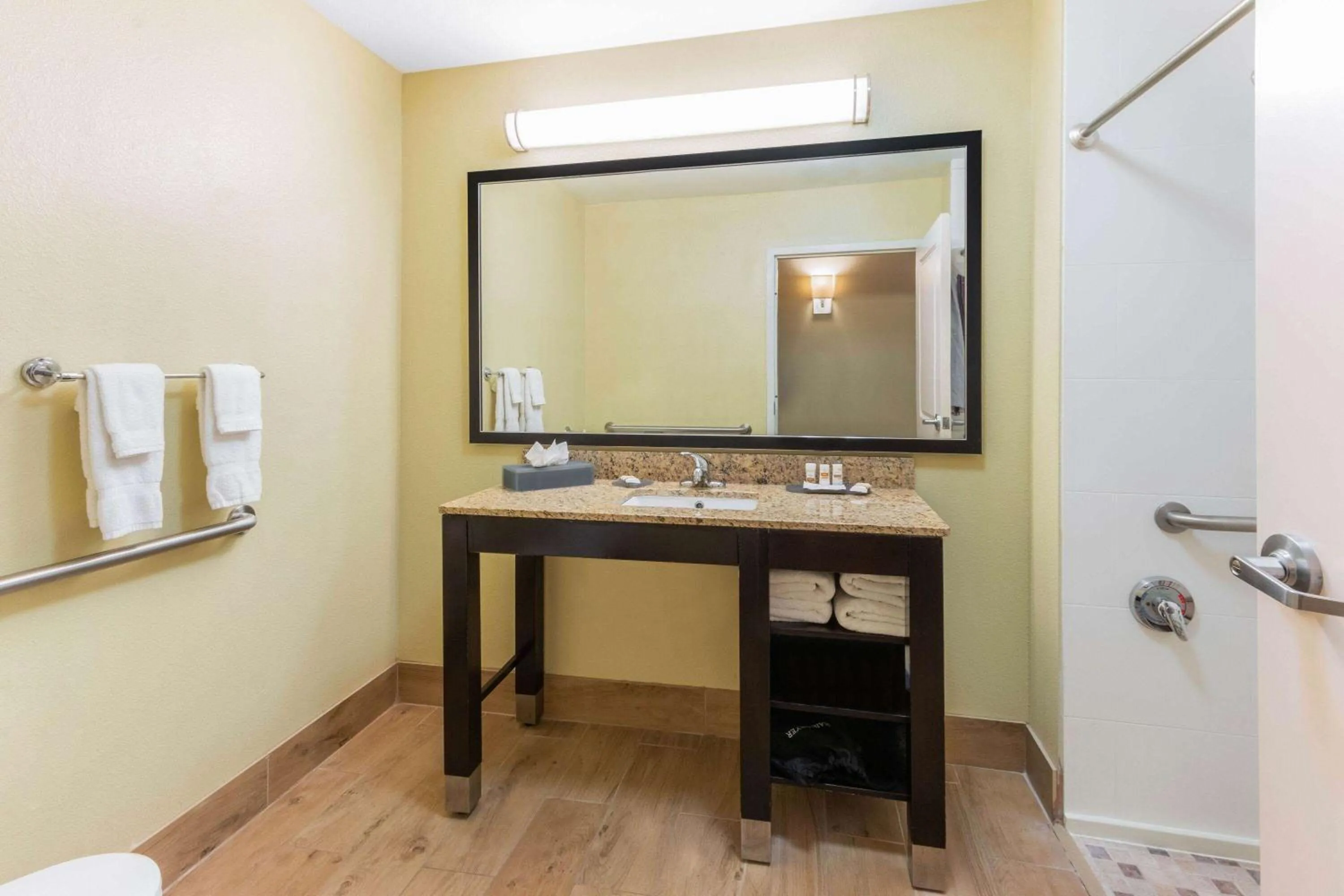 Shower in La Quinta by Wyndham Carlsbad