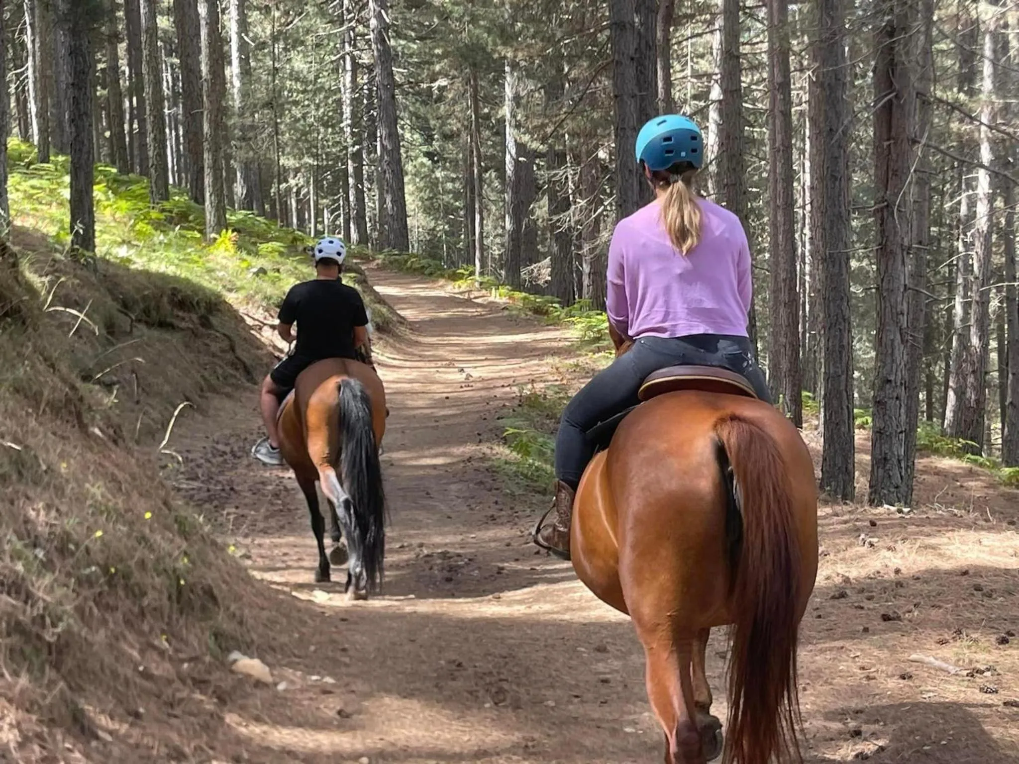 Horse-riding in Hotel Camigliatello