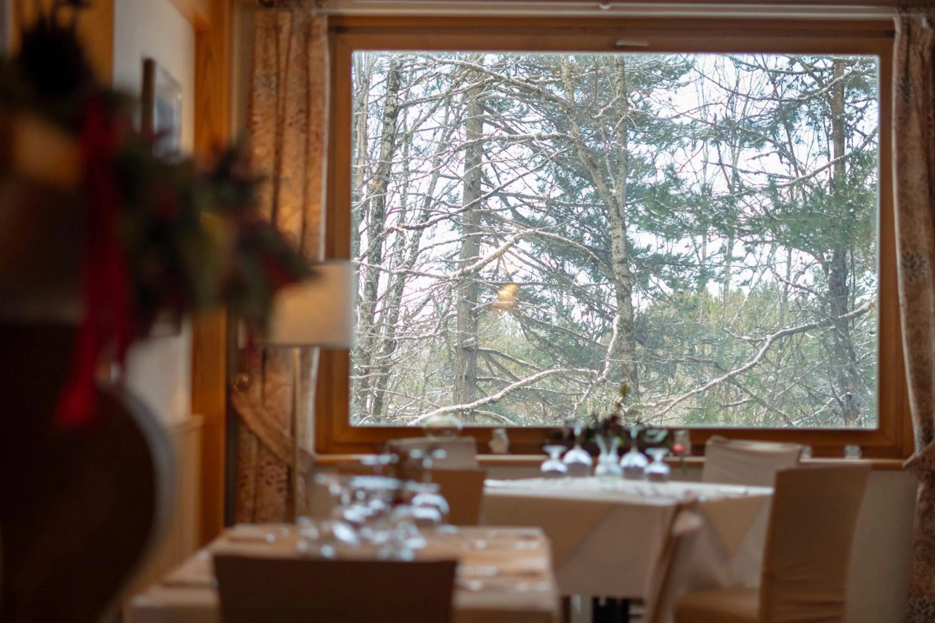 Restaurant/places to eat in Hotel Camigliatello