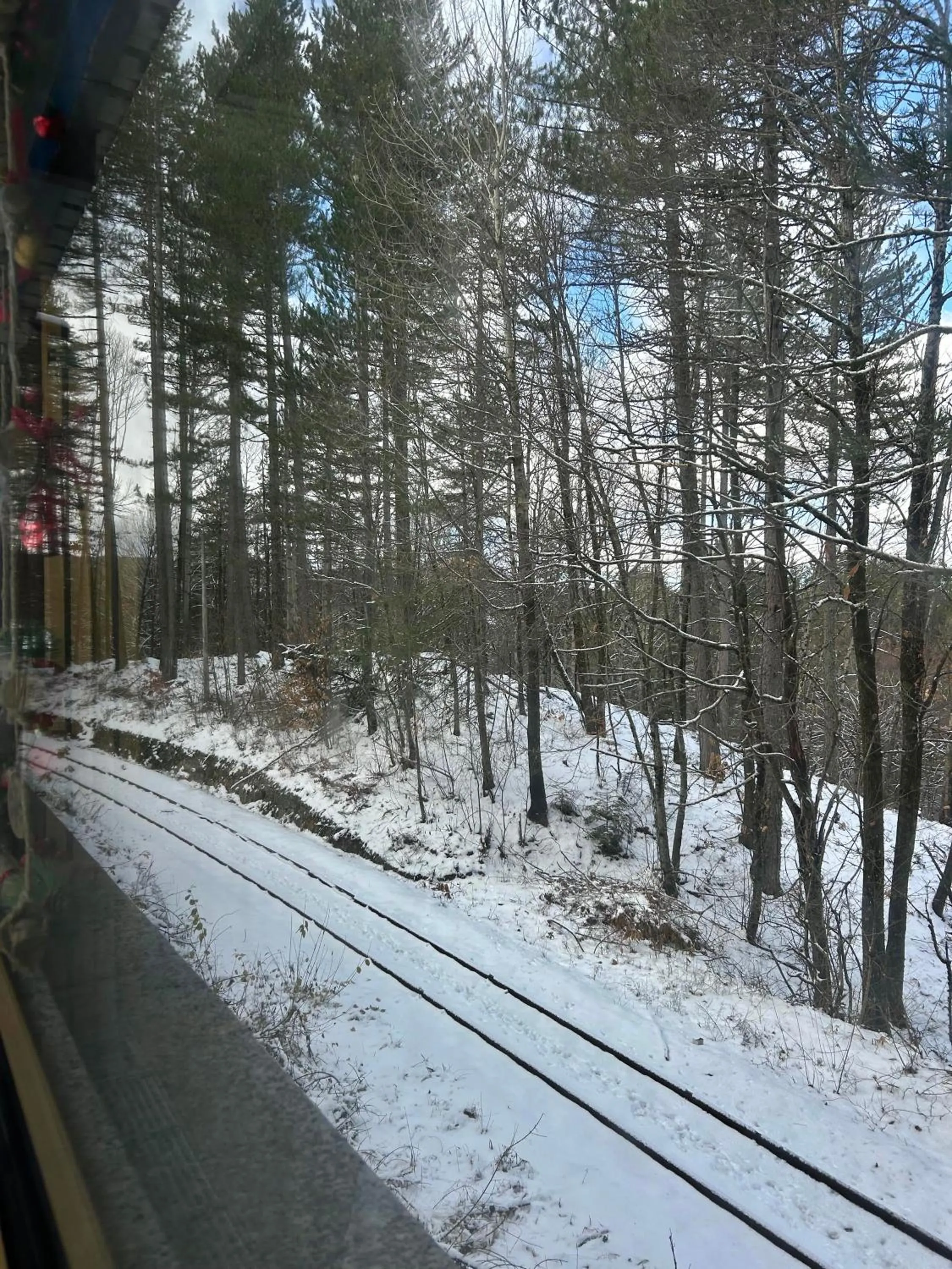 Natural landscape in Hotel Camigliatello