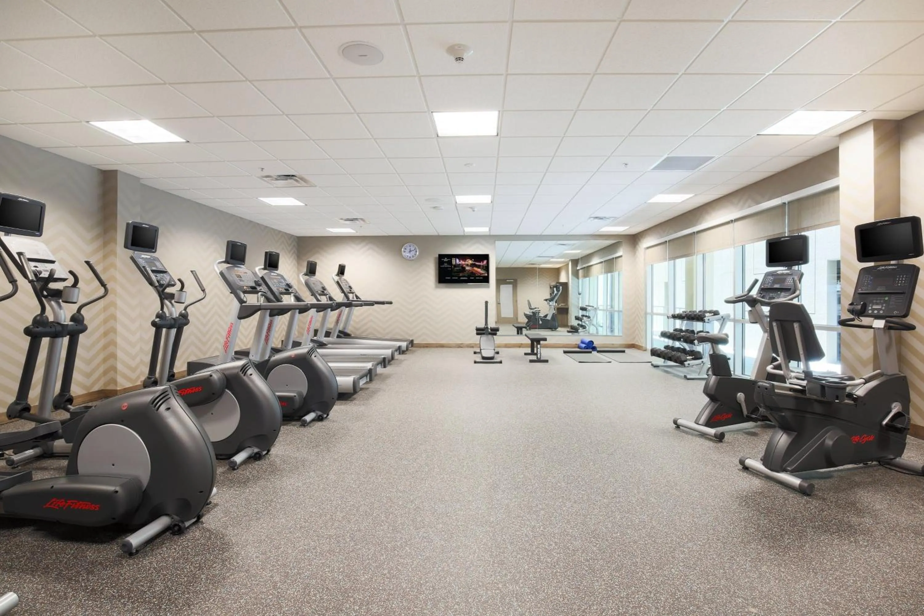 Fitness centre/facilities in SpringHill Suites by Marriott San Jose Airport
