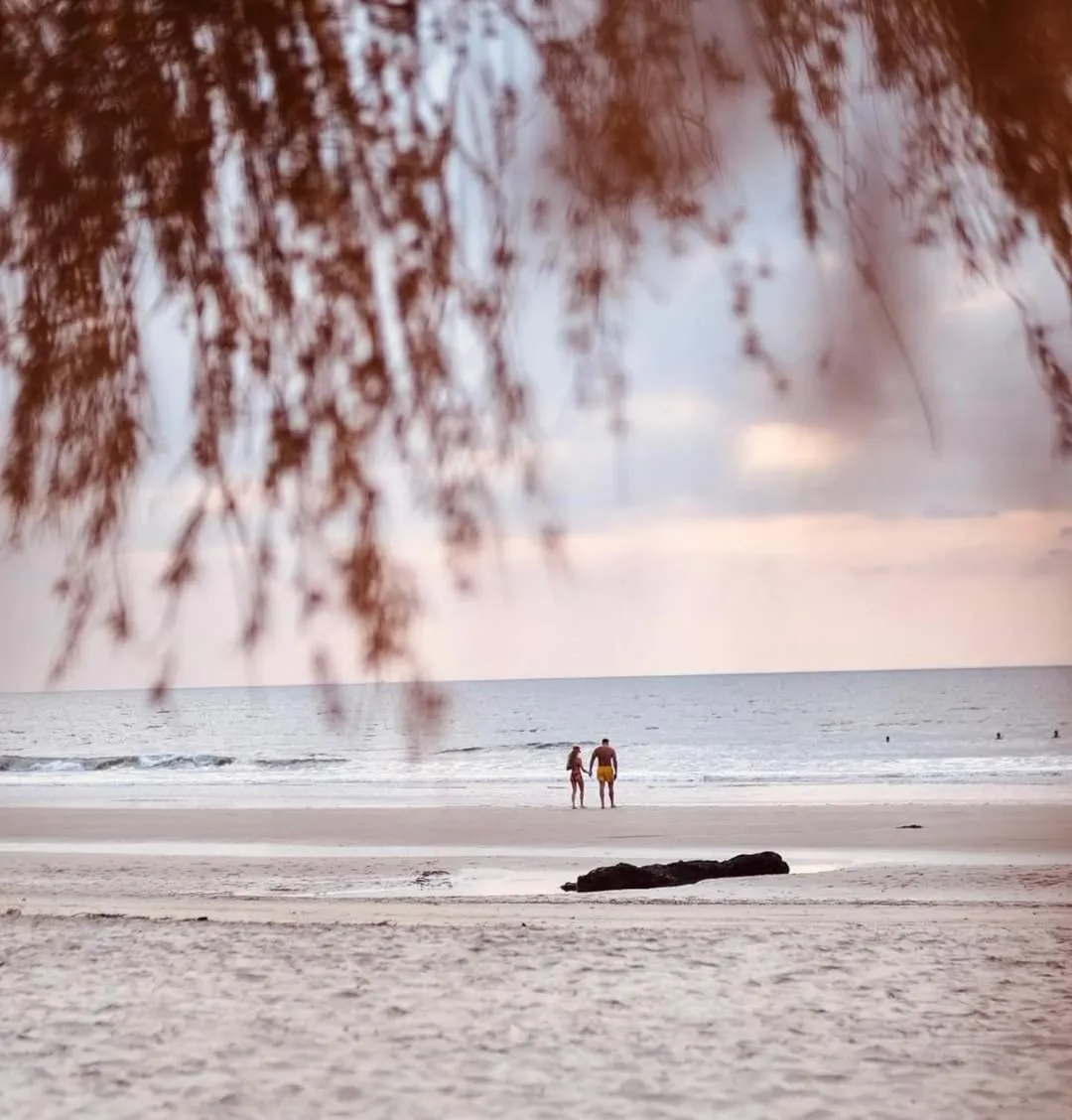 Beach in Anahata Retreat Beach Front Ashwem Goa