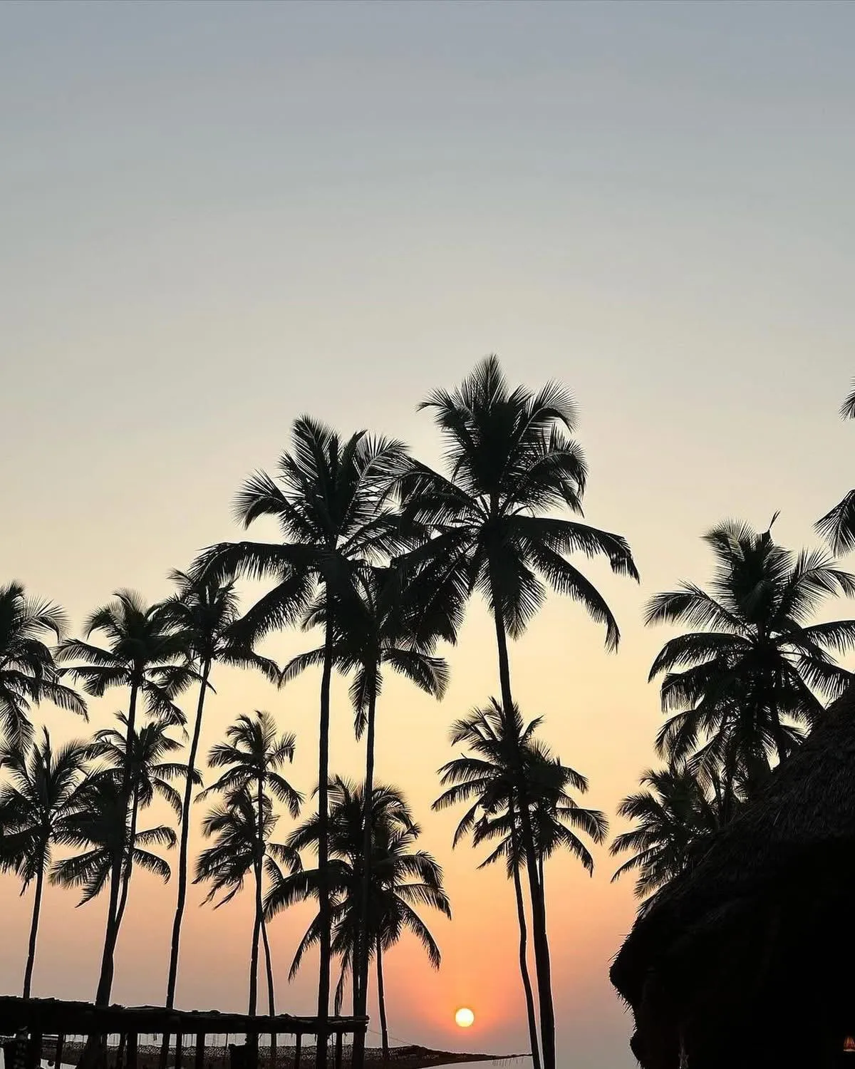 Anahata Retreat Beach Front Ashwem Goa