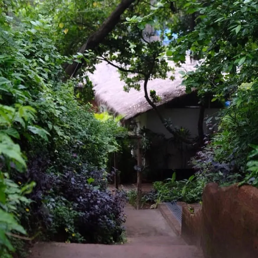 Garden view in Anahata Retreat Beach Front Ashwem Goa