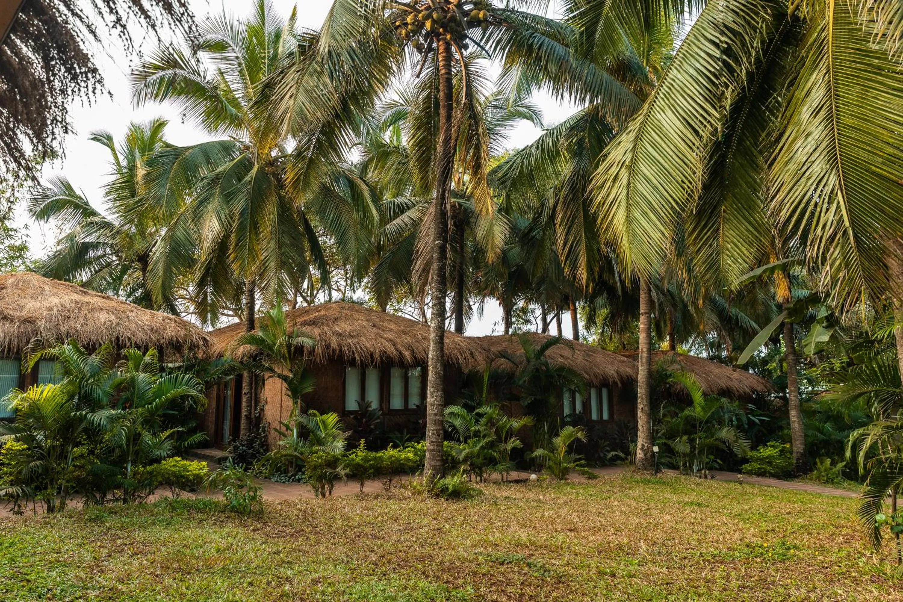 Garden view in Anahata Retreat Beach Front Ashwem Goa