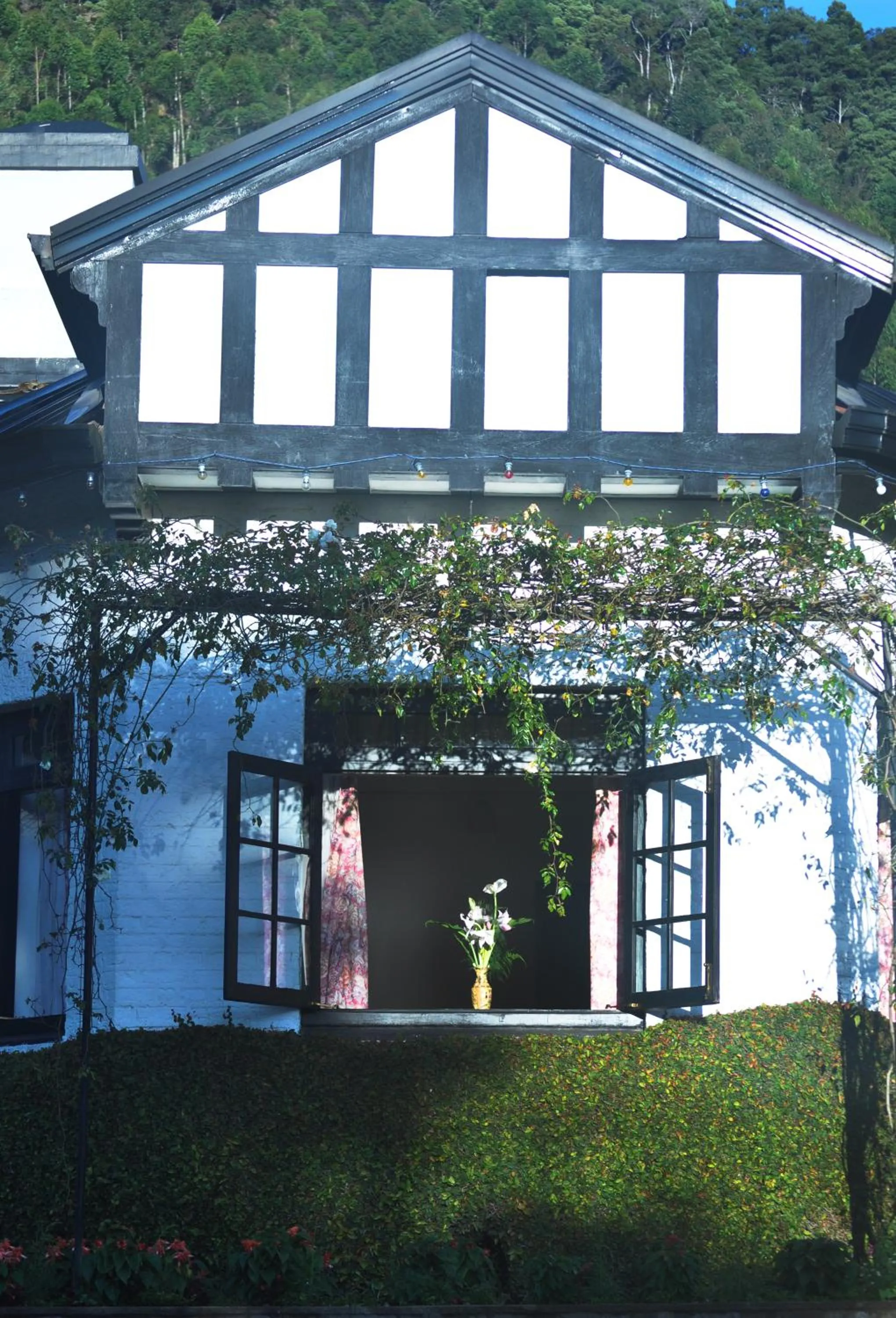 Property building in Hill Cottage