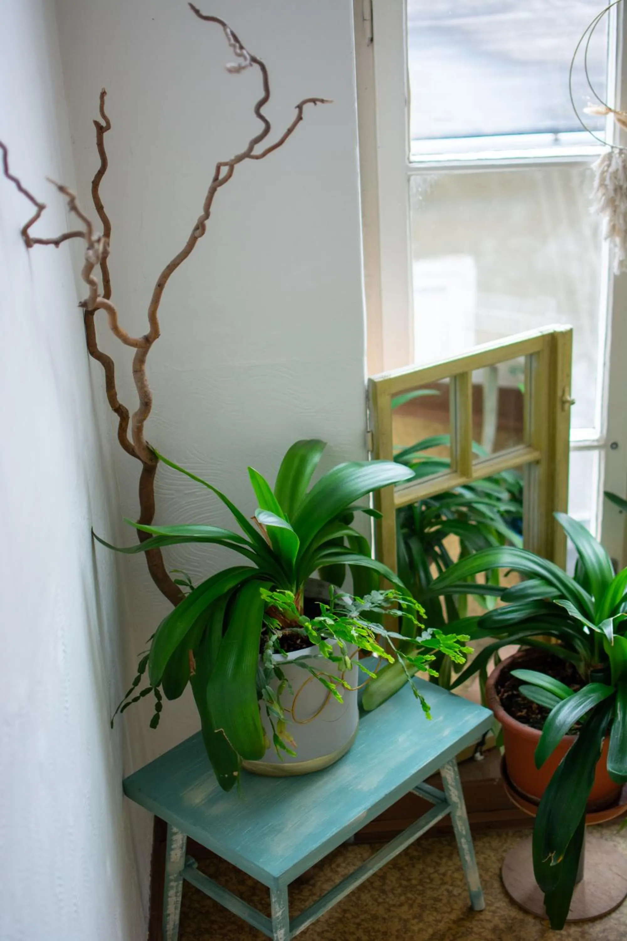 Decorative detail in Hostel Moravia Ostrava