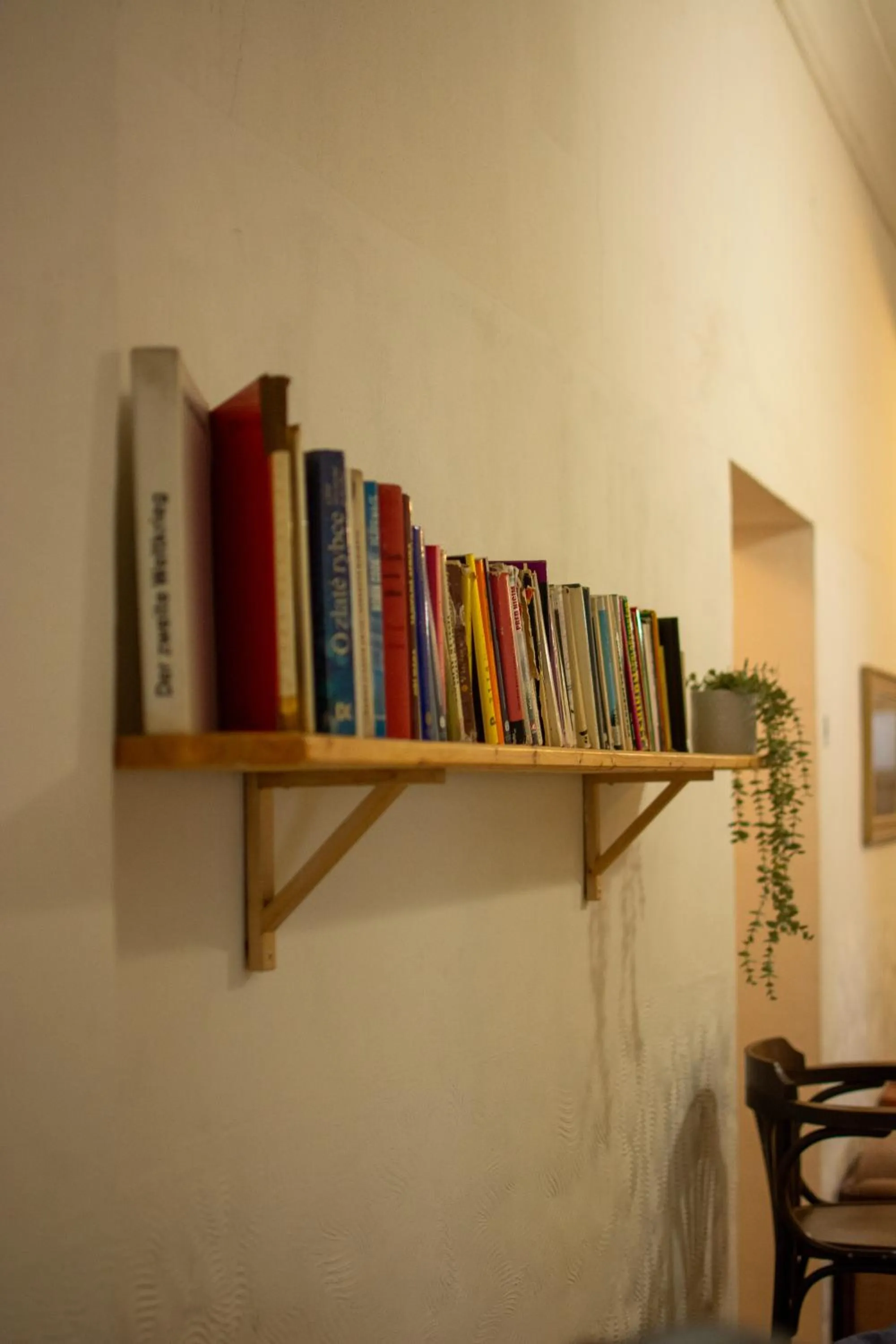 Library in Hostel Moravia Ostrava