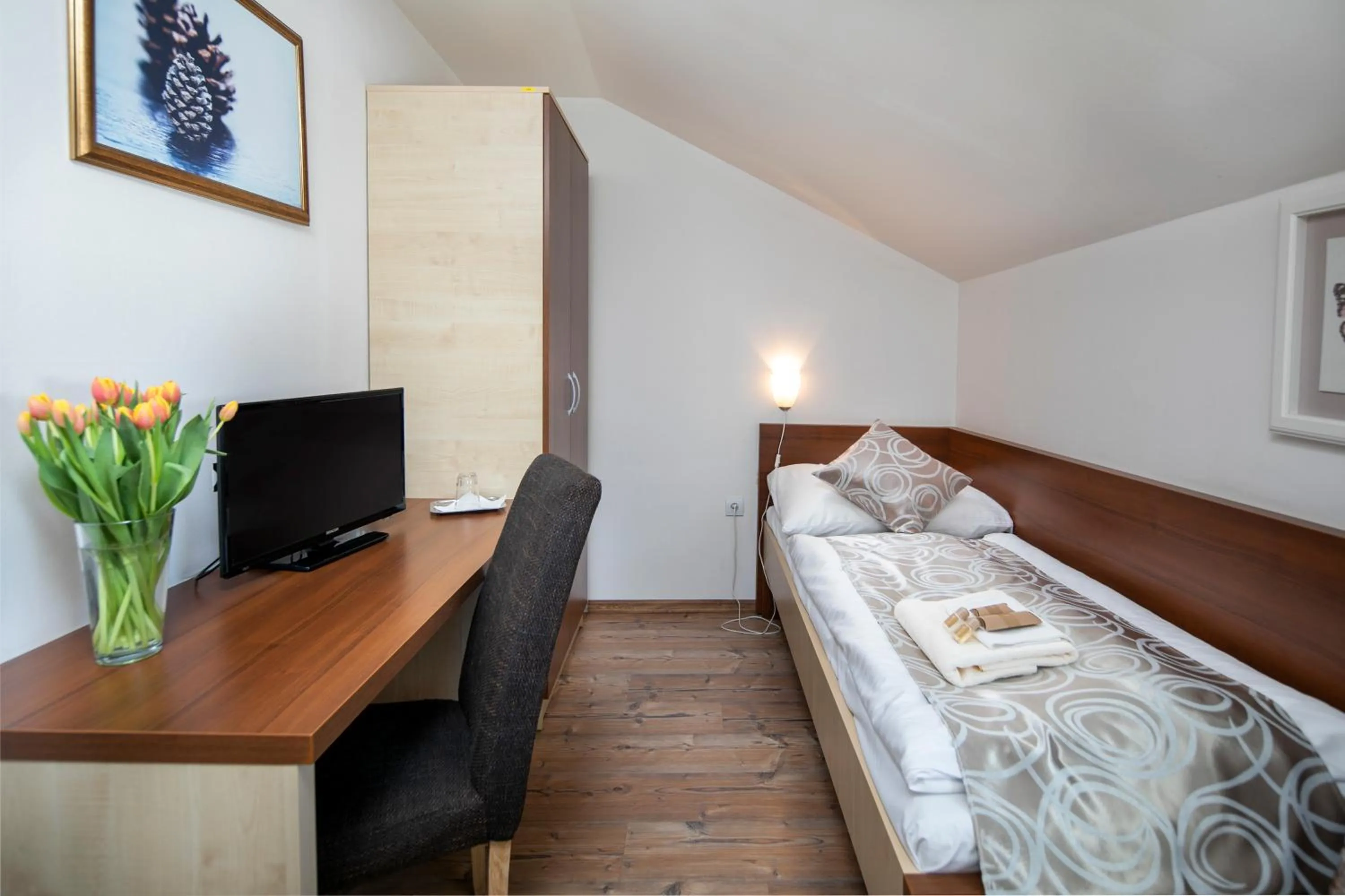 TV and multimedia in Hotel Granit Smrekovica