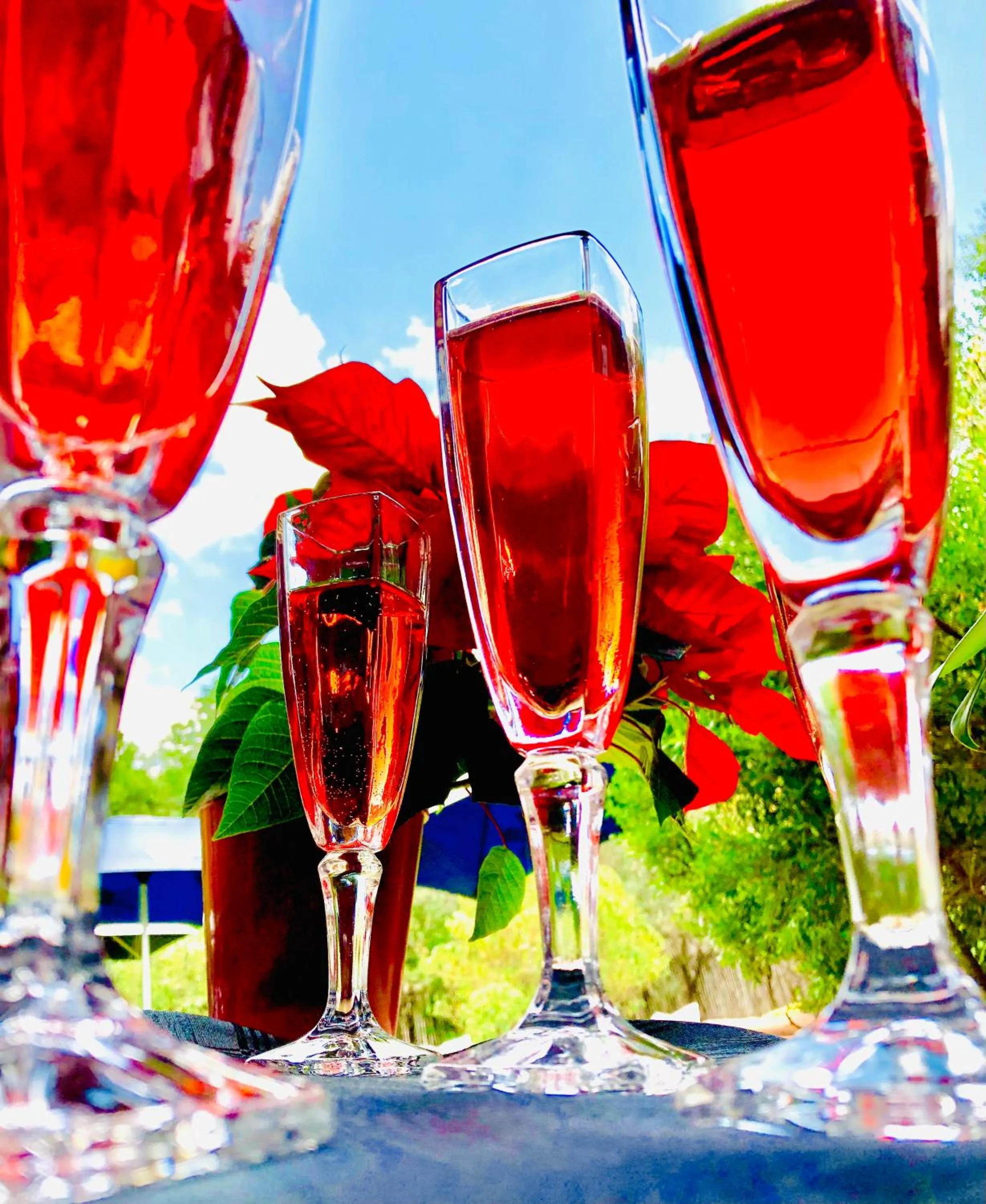 Restaurant/places to eat in Sand River Guest House