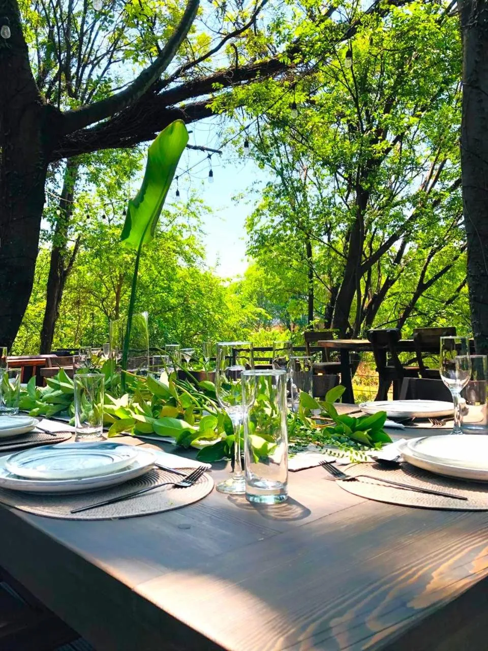 Restaurant/places to eat in Sand River Guest House