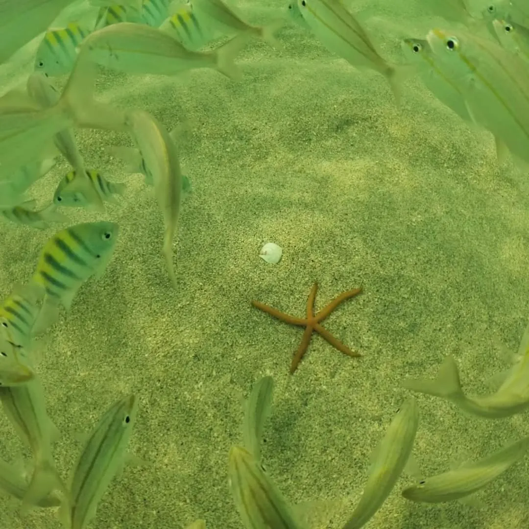Beach in Angá Beach Hotel