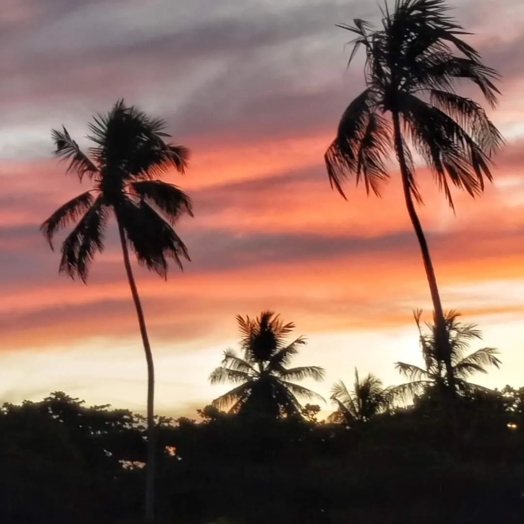 Beach in Angá Beach Hotel