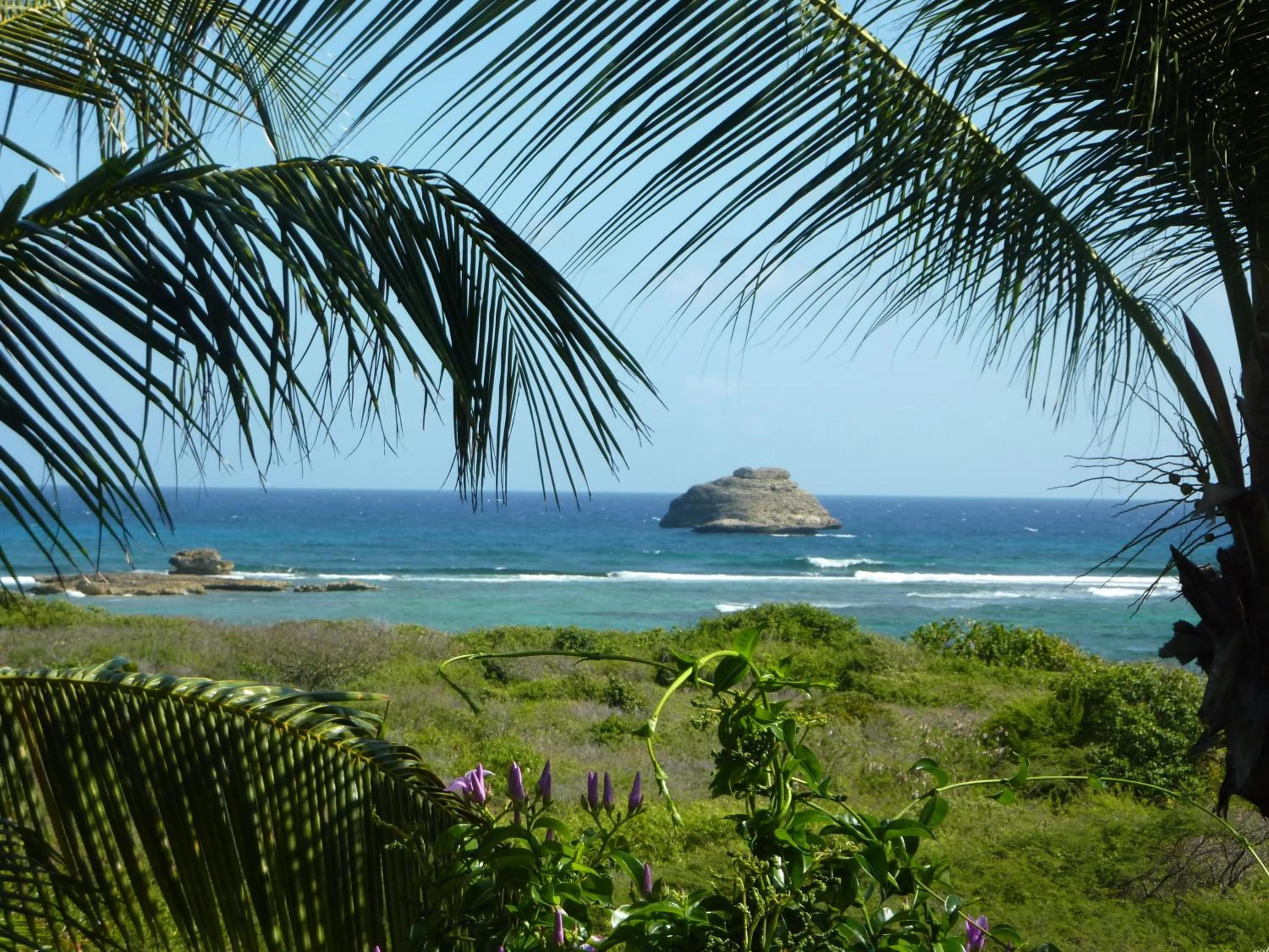 View (from property/room) in Villa Tarare
