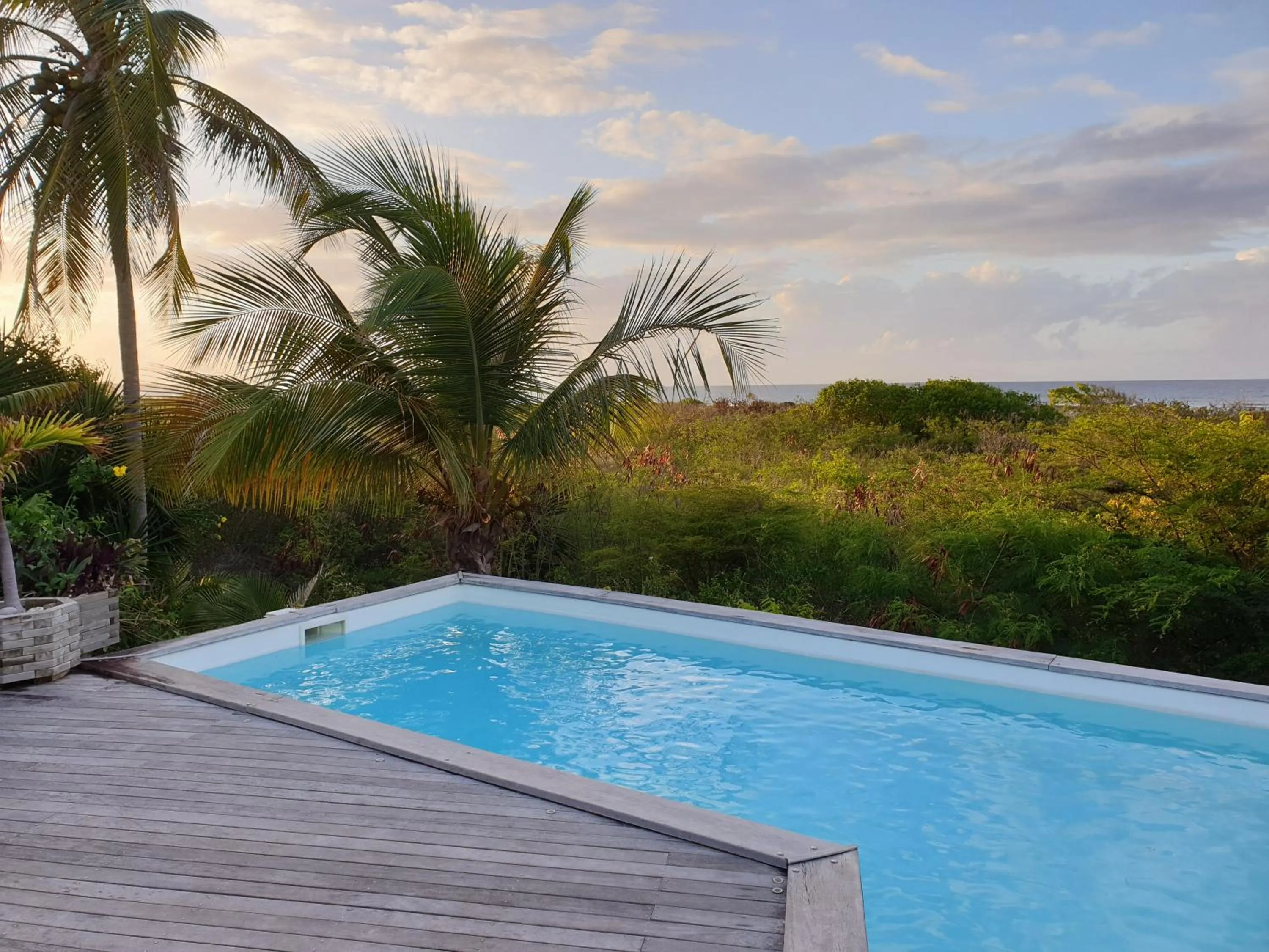 Pool view in Villa Tarare