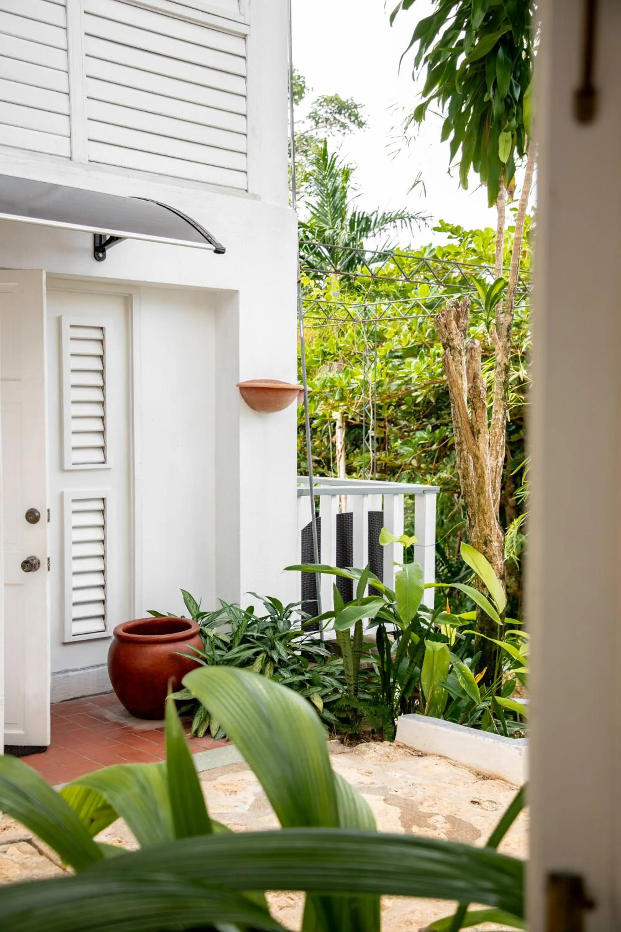 Property building in LF Jungle Retreat