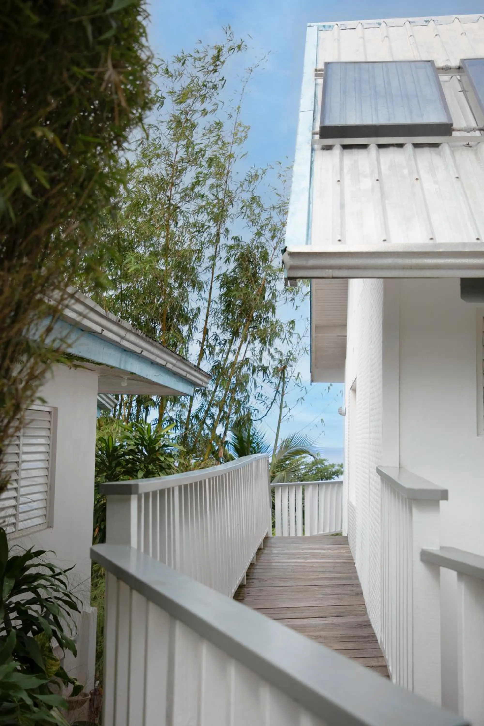 Property building in LF Jungle Retreat