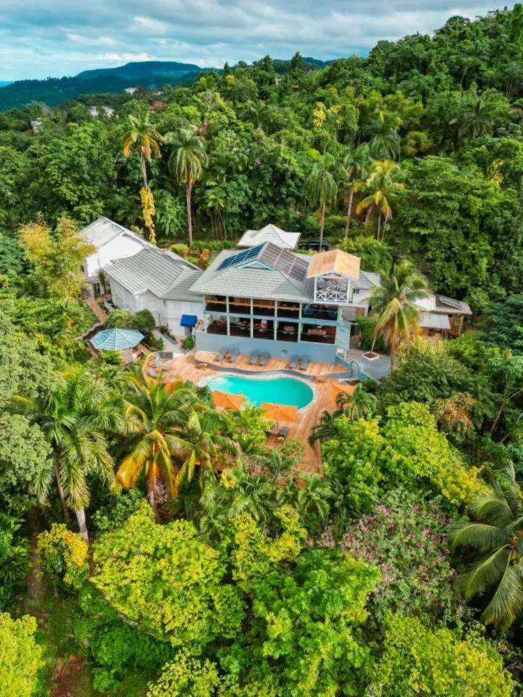 LF Jungle Retreat LF Jungle Retreat