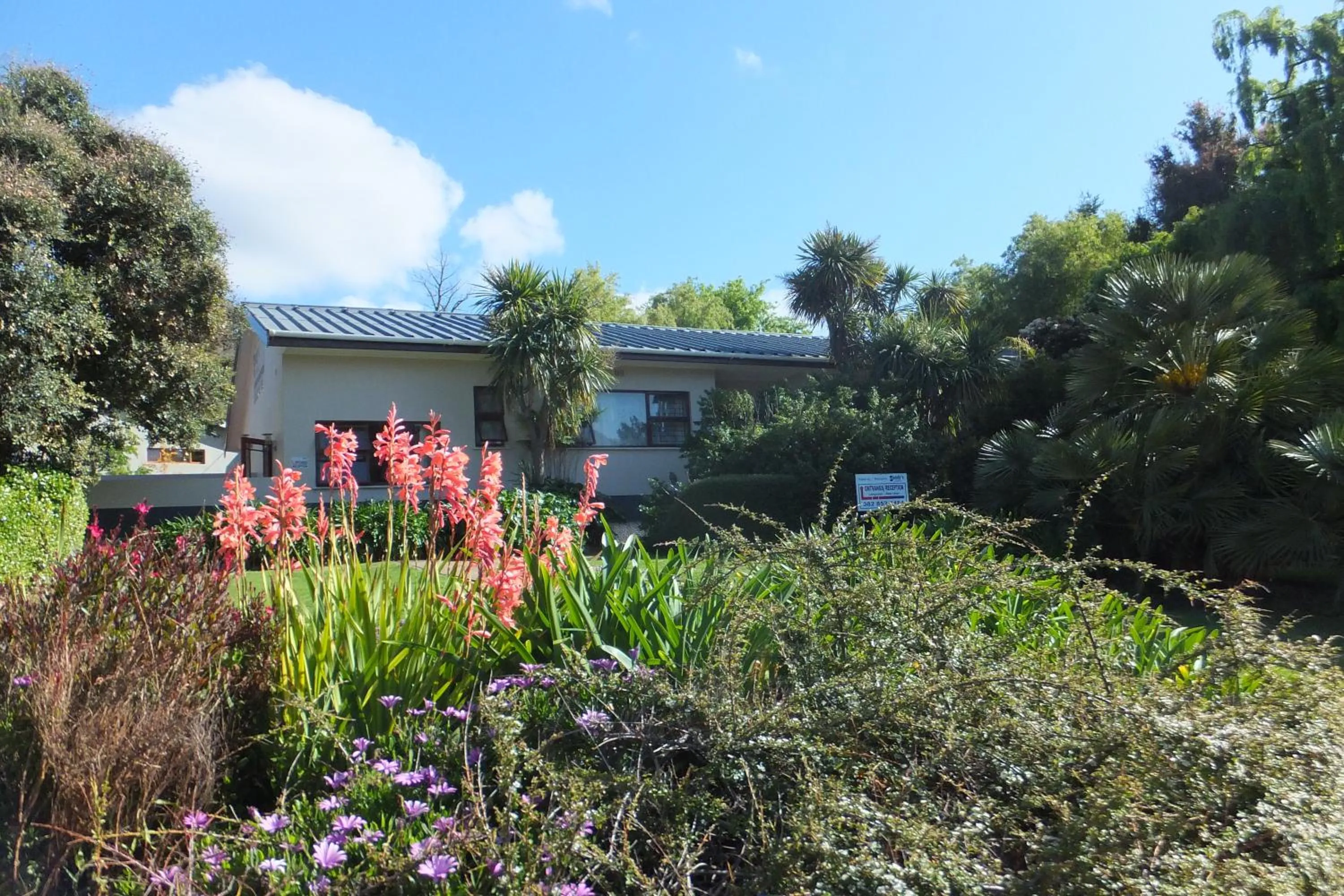 Spring in Sandy's Place