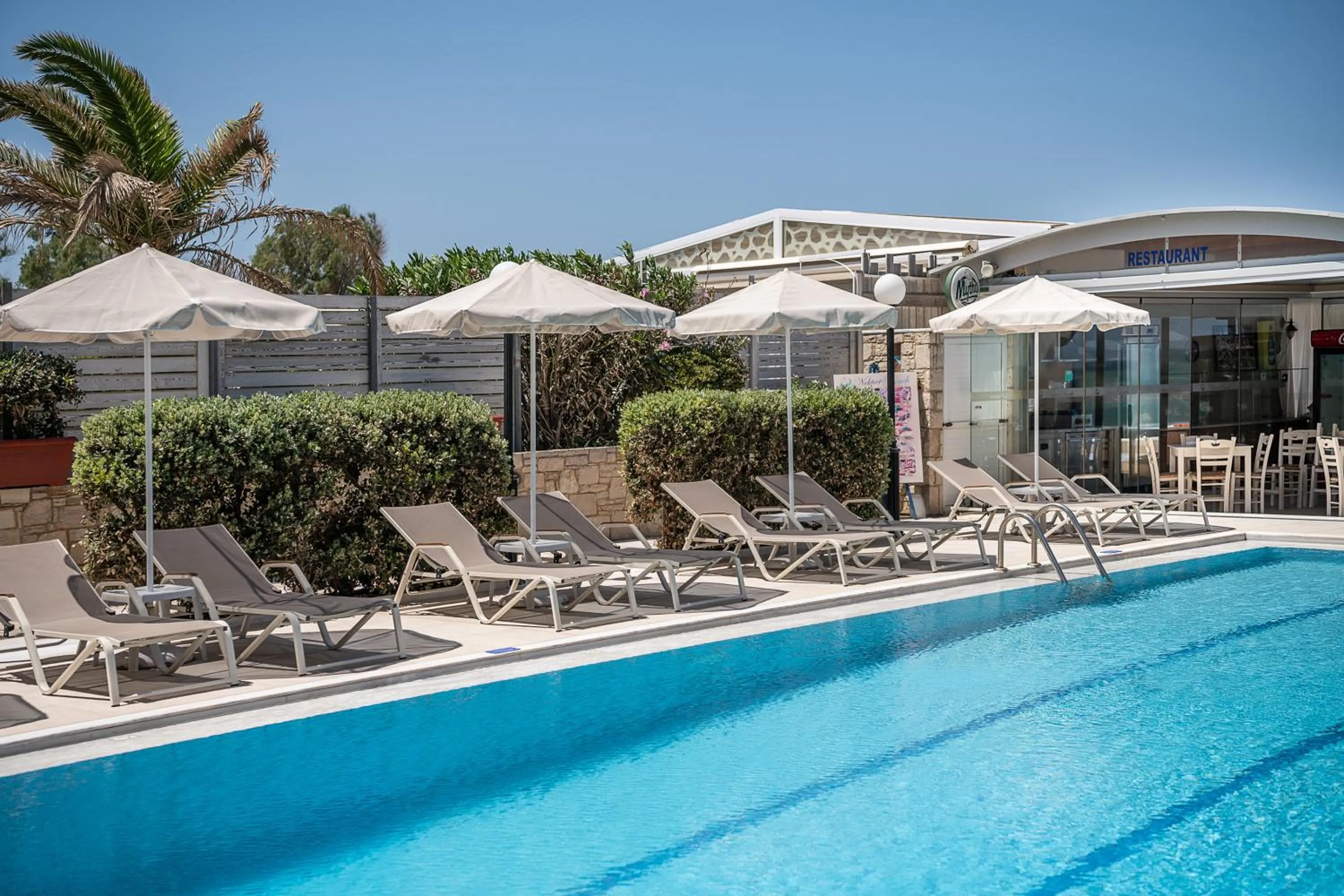 Swimming pool in Nektar Beach Hotel