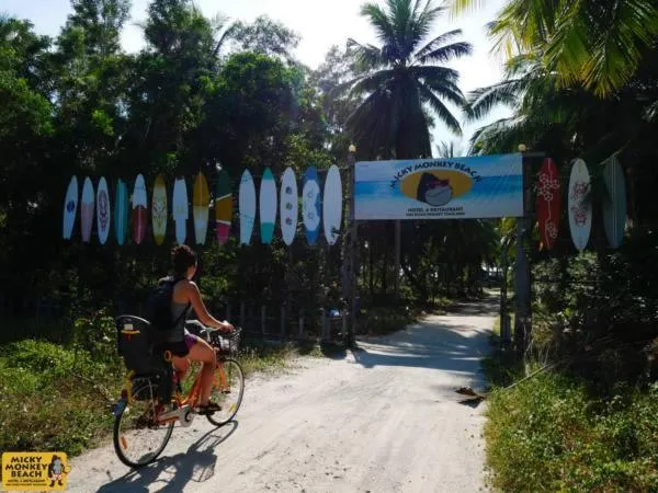 Micky Monkey Beach Hotel Phuket Maikhao Thailand