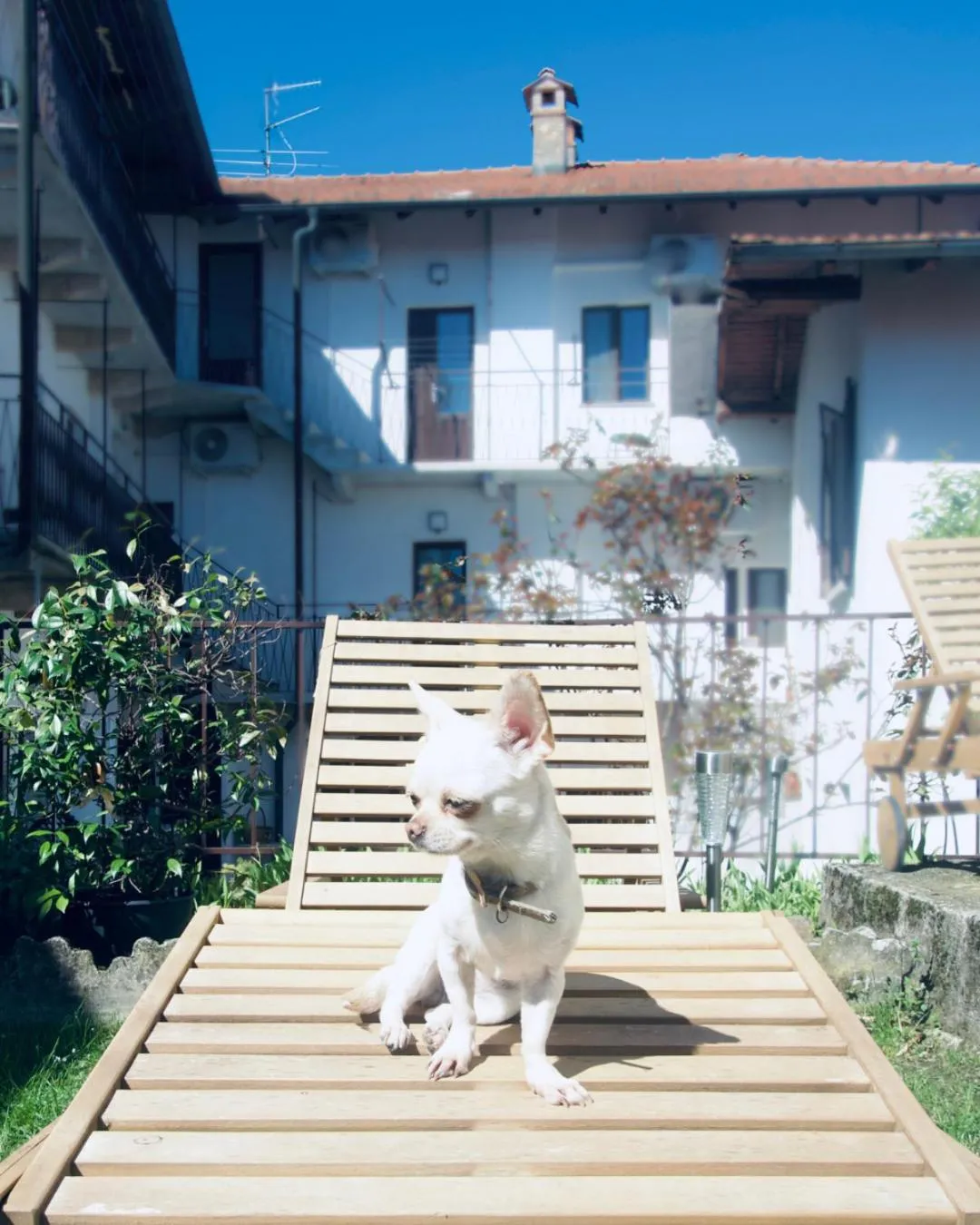 Stresa Complex LevOasi