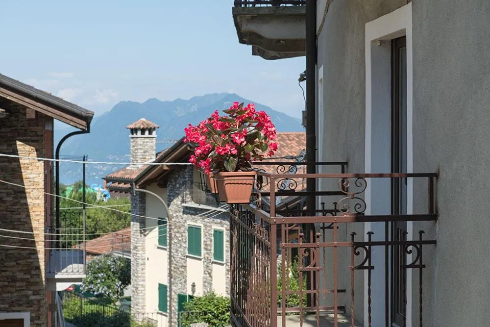 Stresa Complex LevOasi