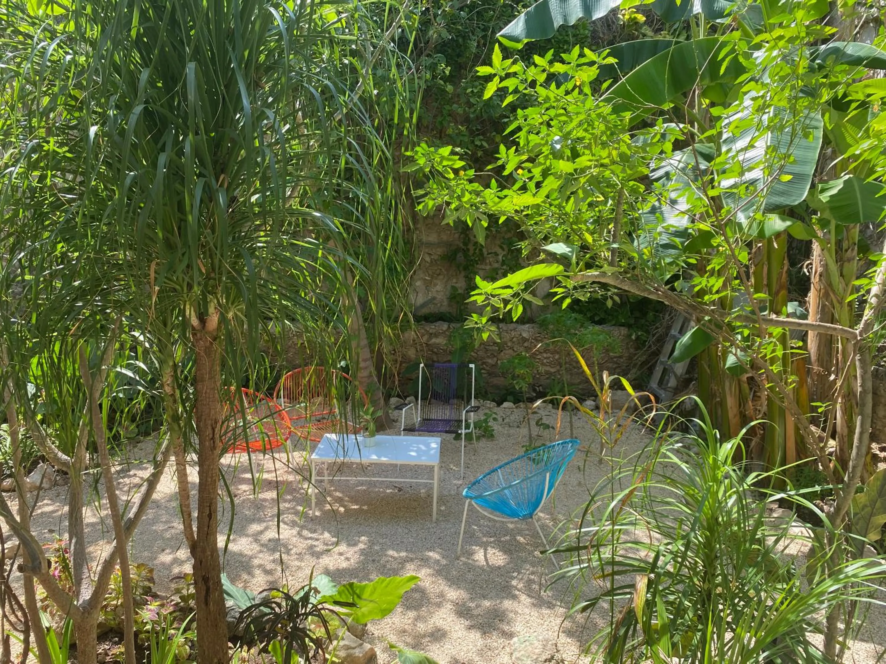 Garden in Hotel La Piazzetta