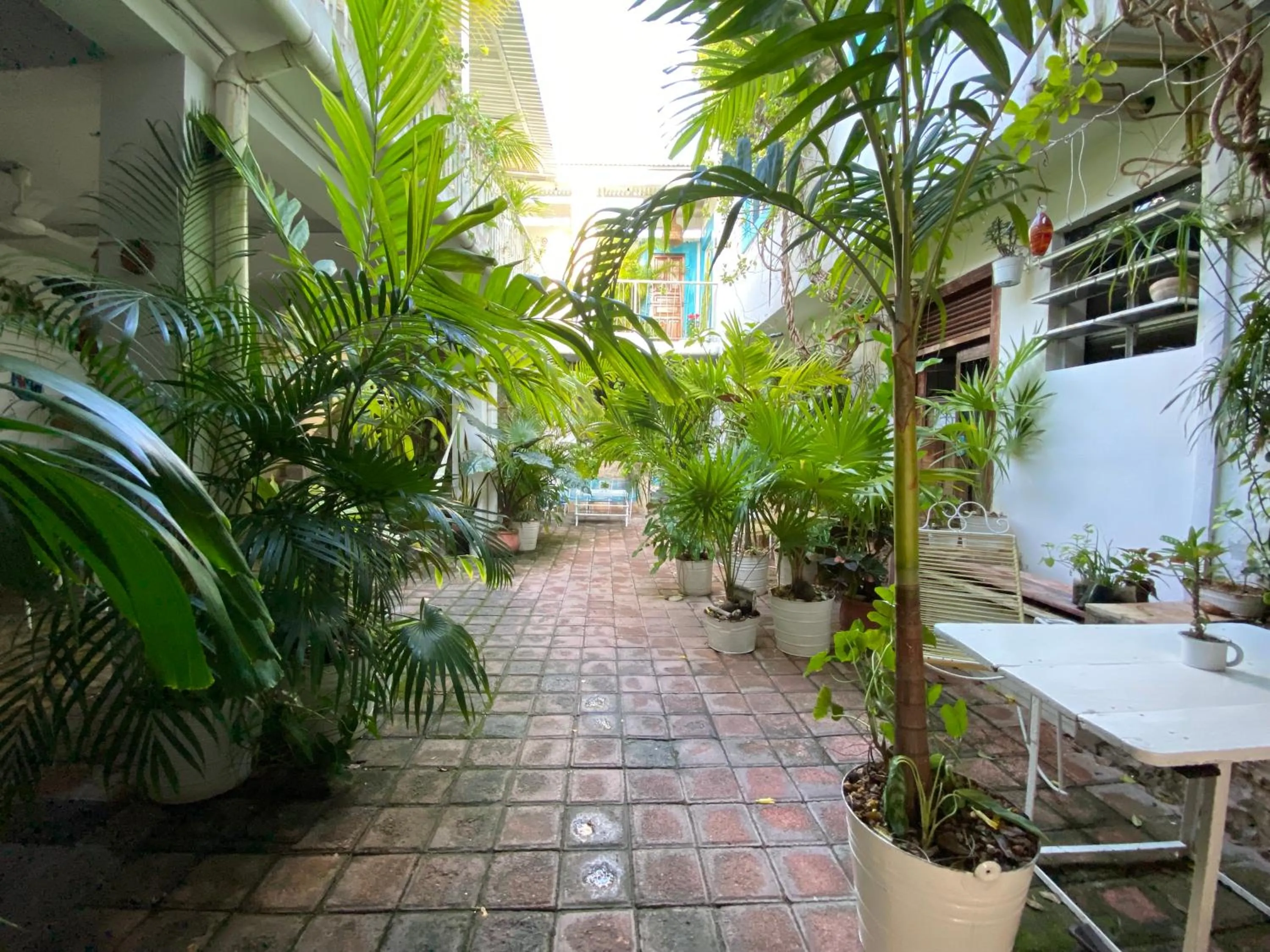 Patio in Hotel La Piazzetta