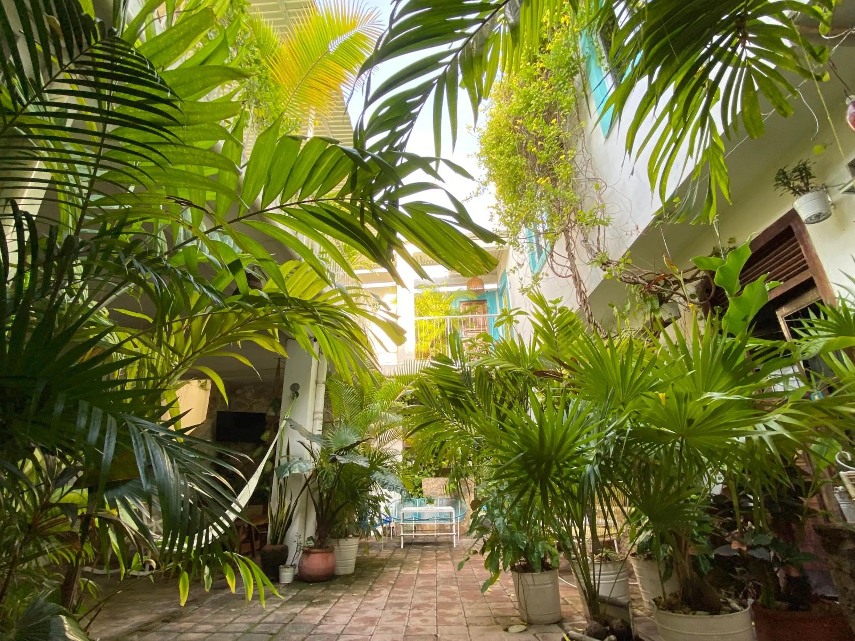 Patio in Hotel La Piazzetta