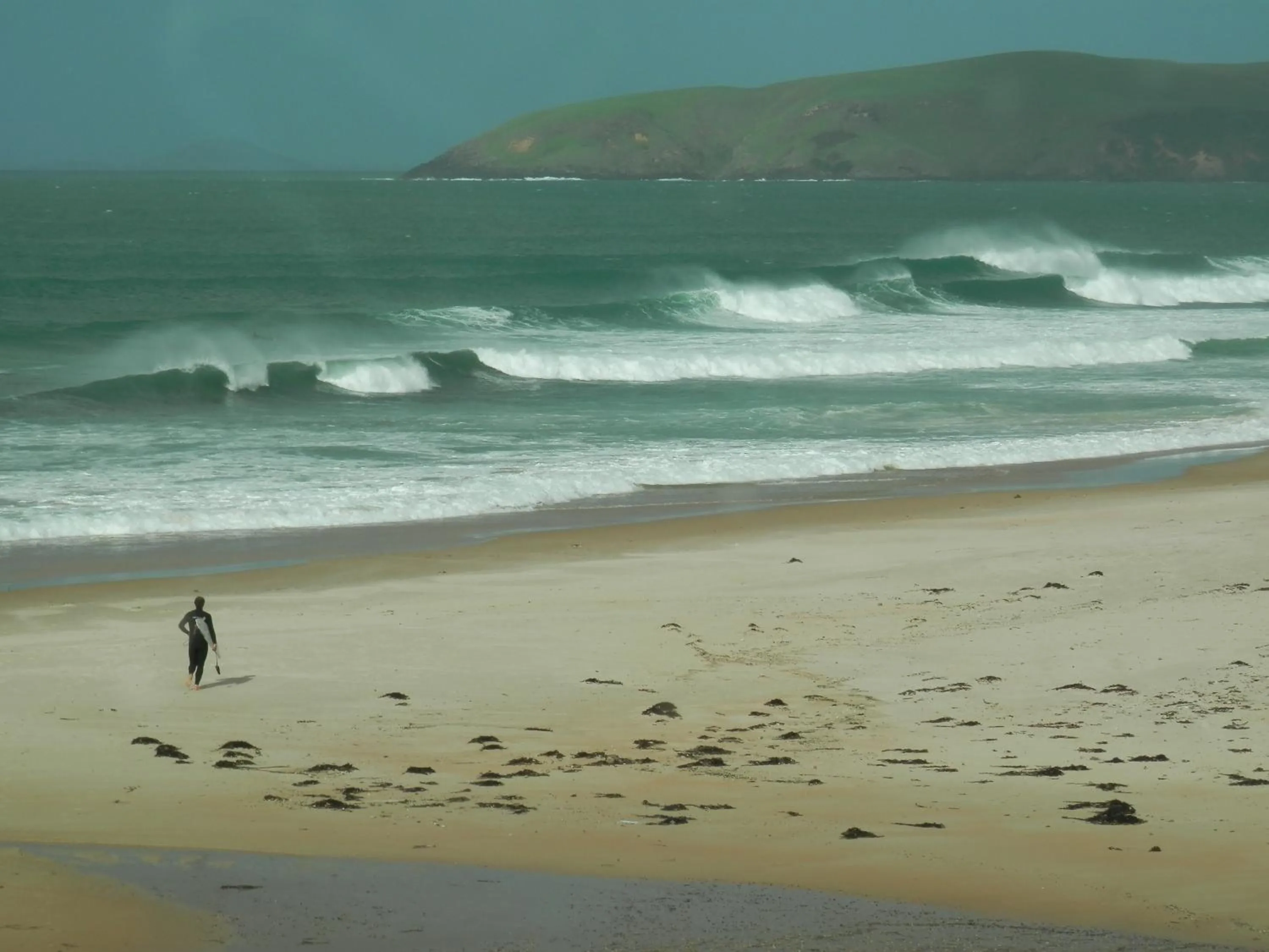 Area and facilities in Pukenui Lodge Motel