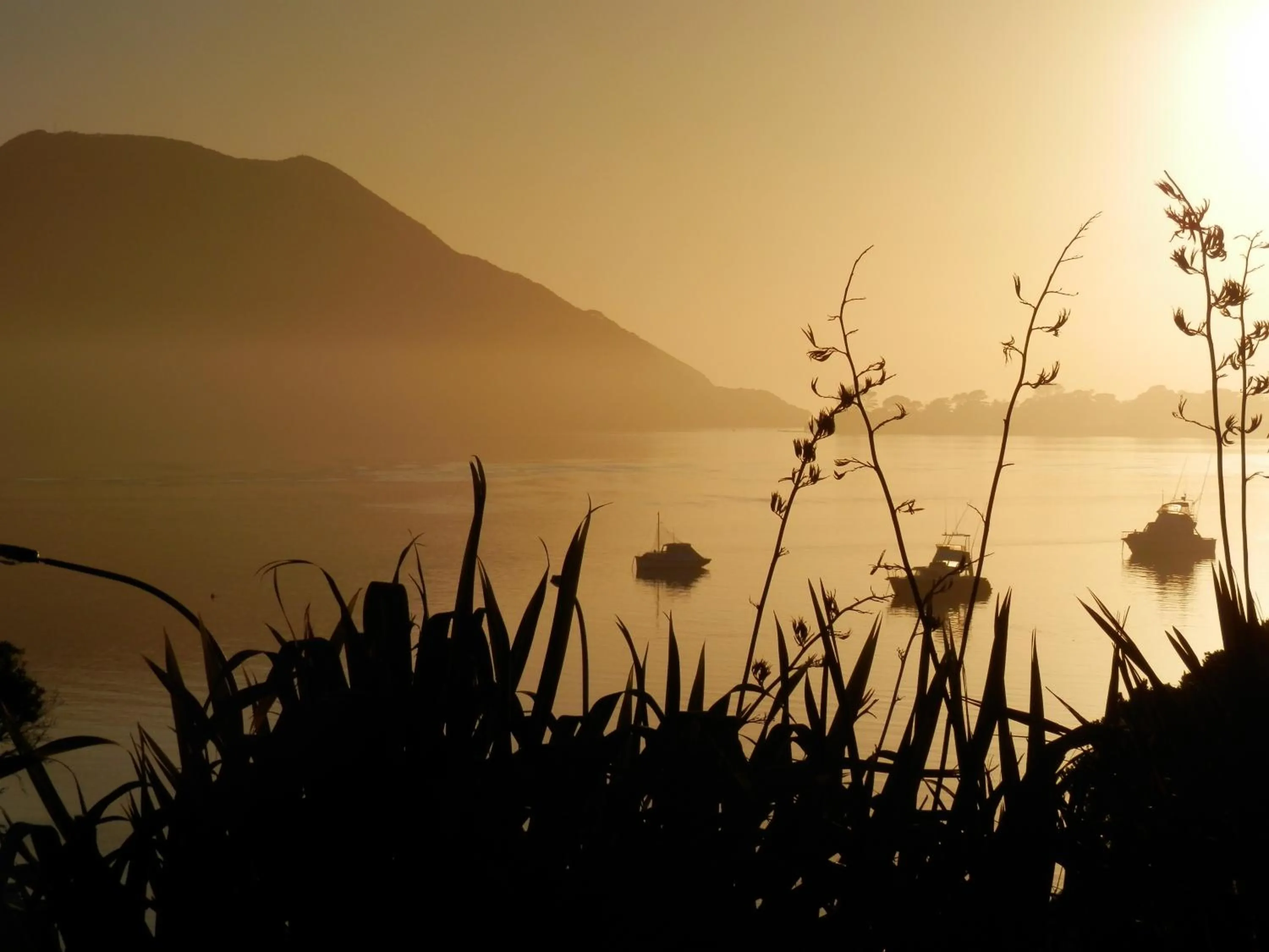 Facade/entrance in Pukenui Lodge Motel