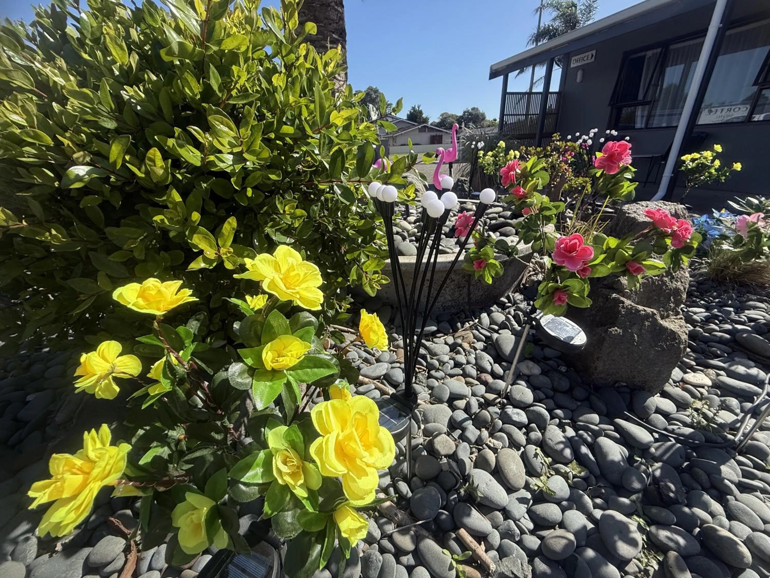 Garden view in Cortez Motel