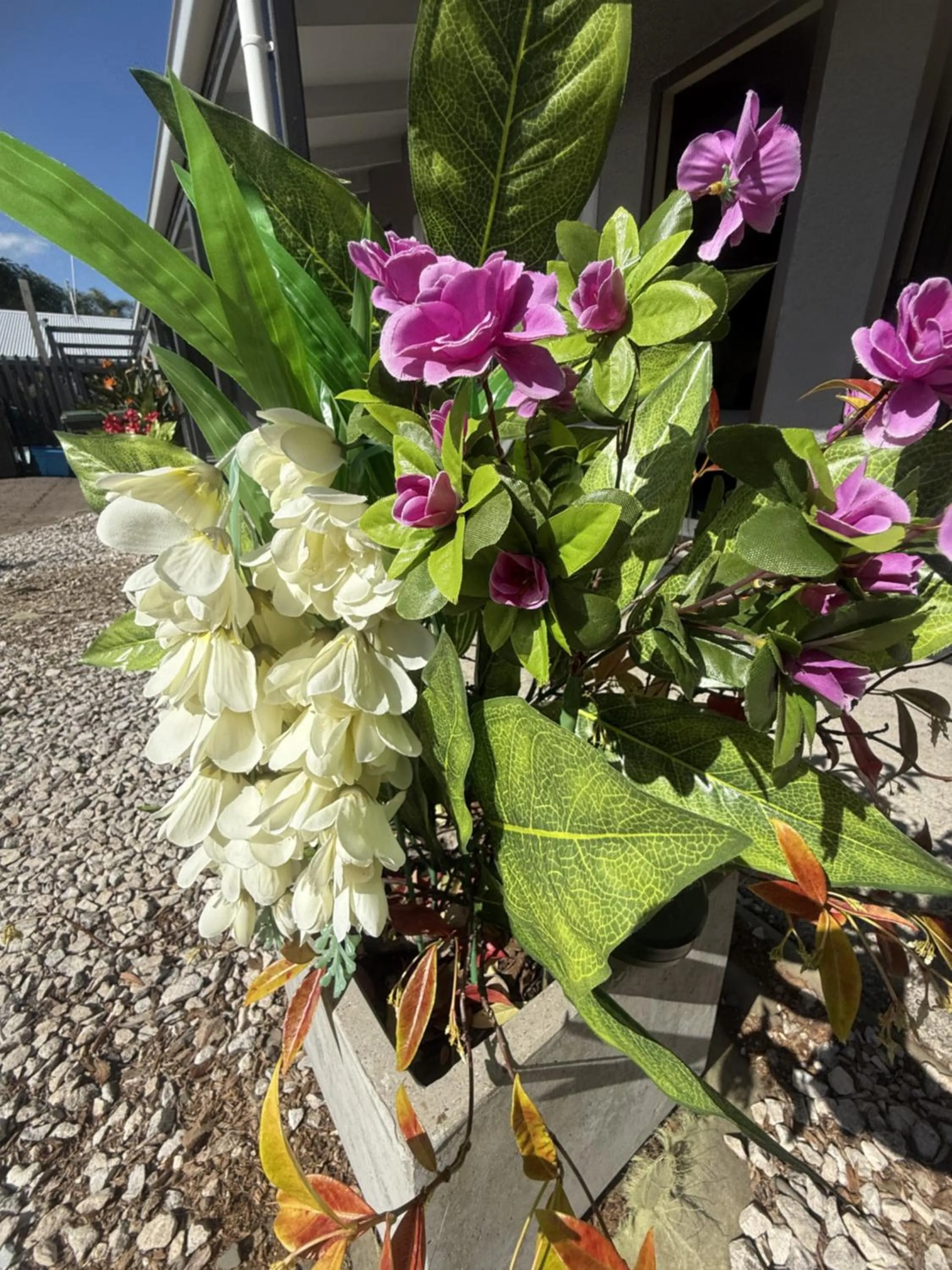 Garden view in Cortez Motel