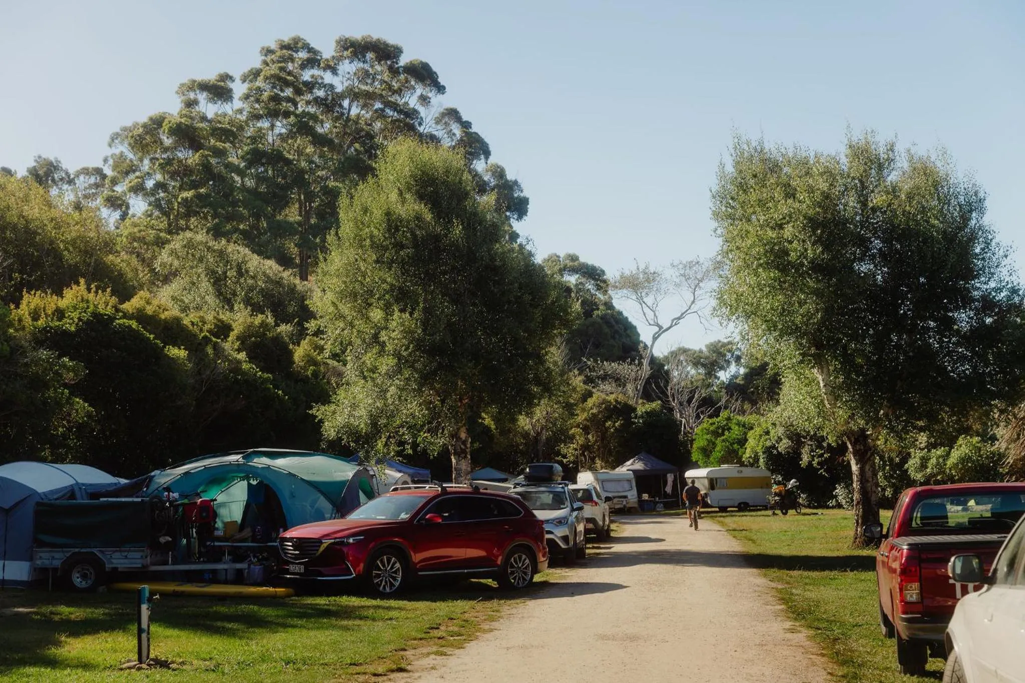 Natural landscape in Golden Bay Holiday Park
