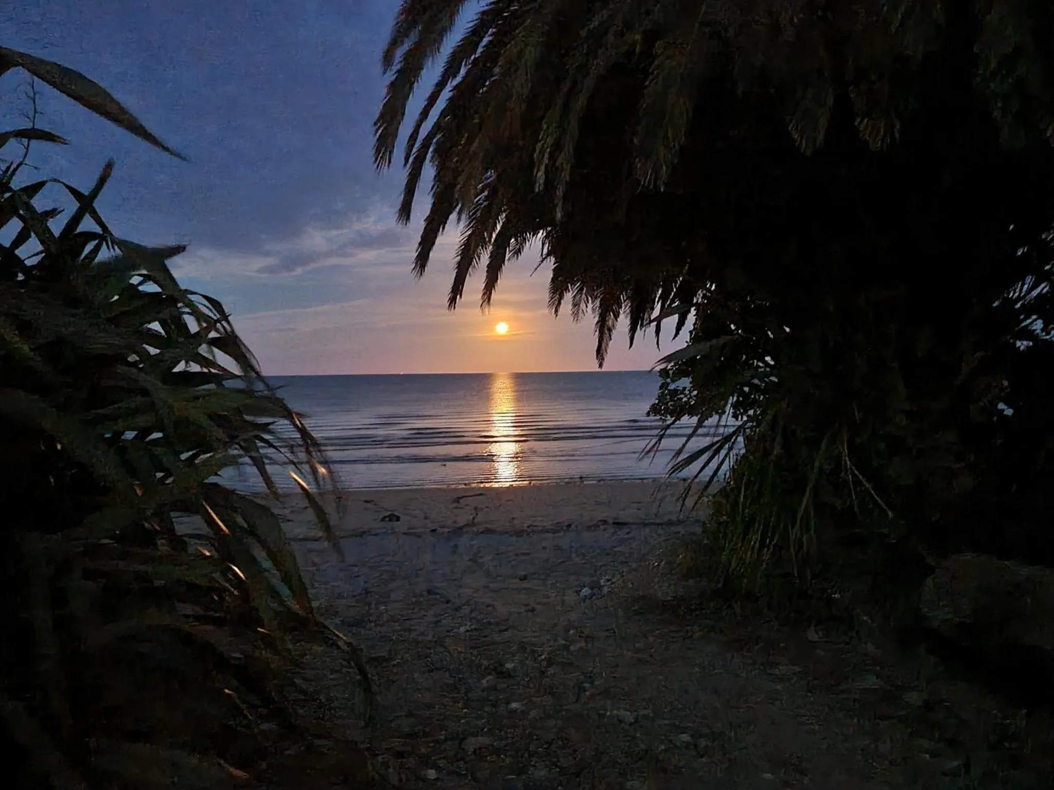 Natural landscape in Golden Bay Holiday Park