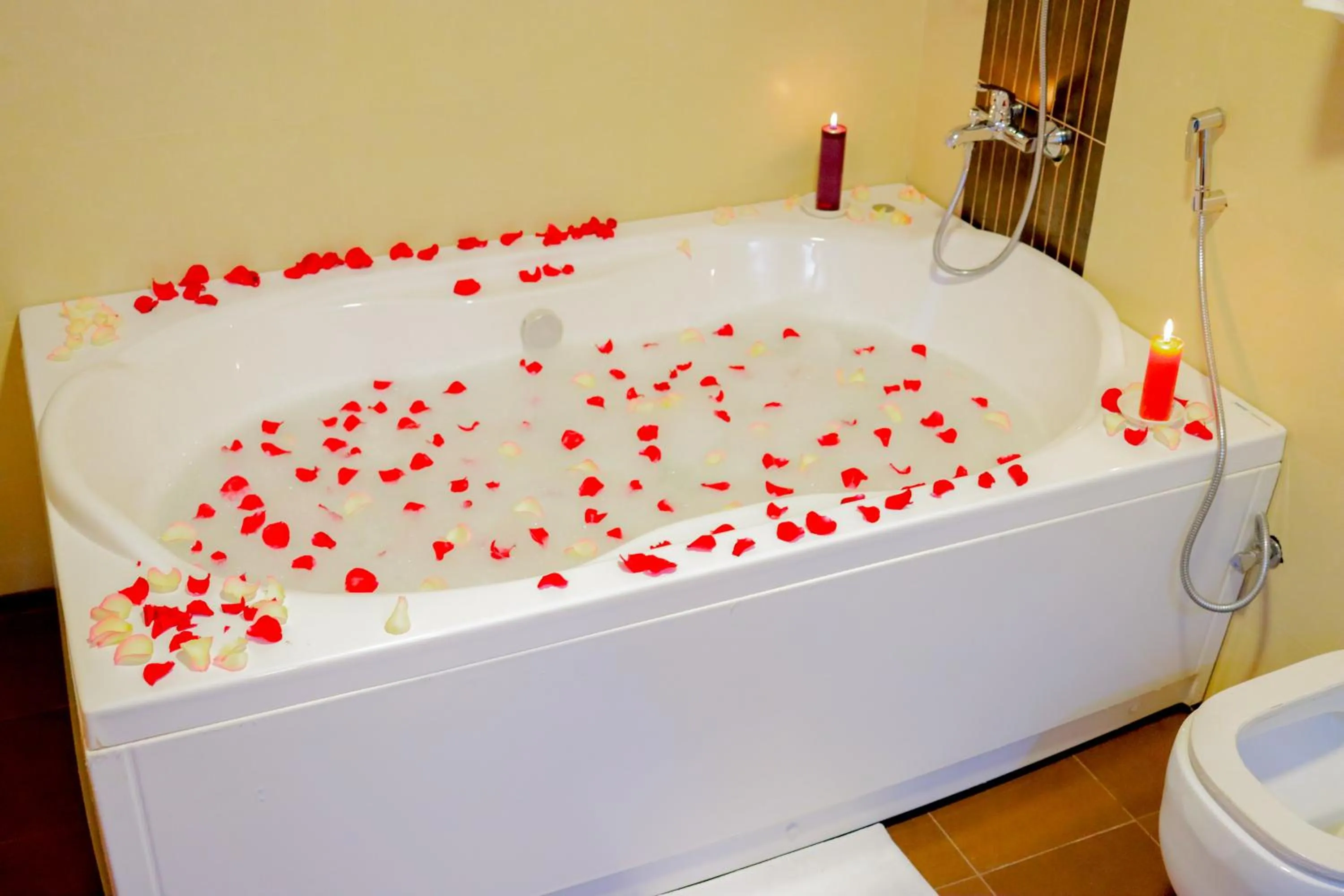 Toilet in Parrot Hotel Arusha