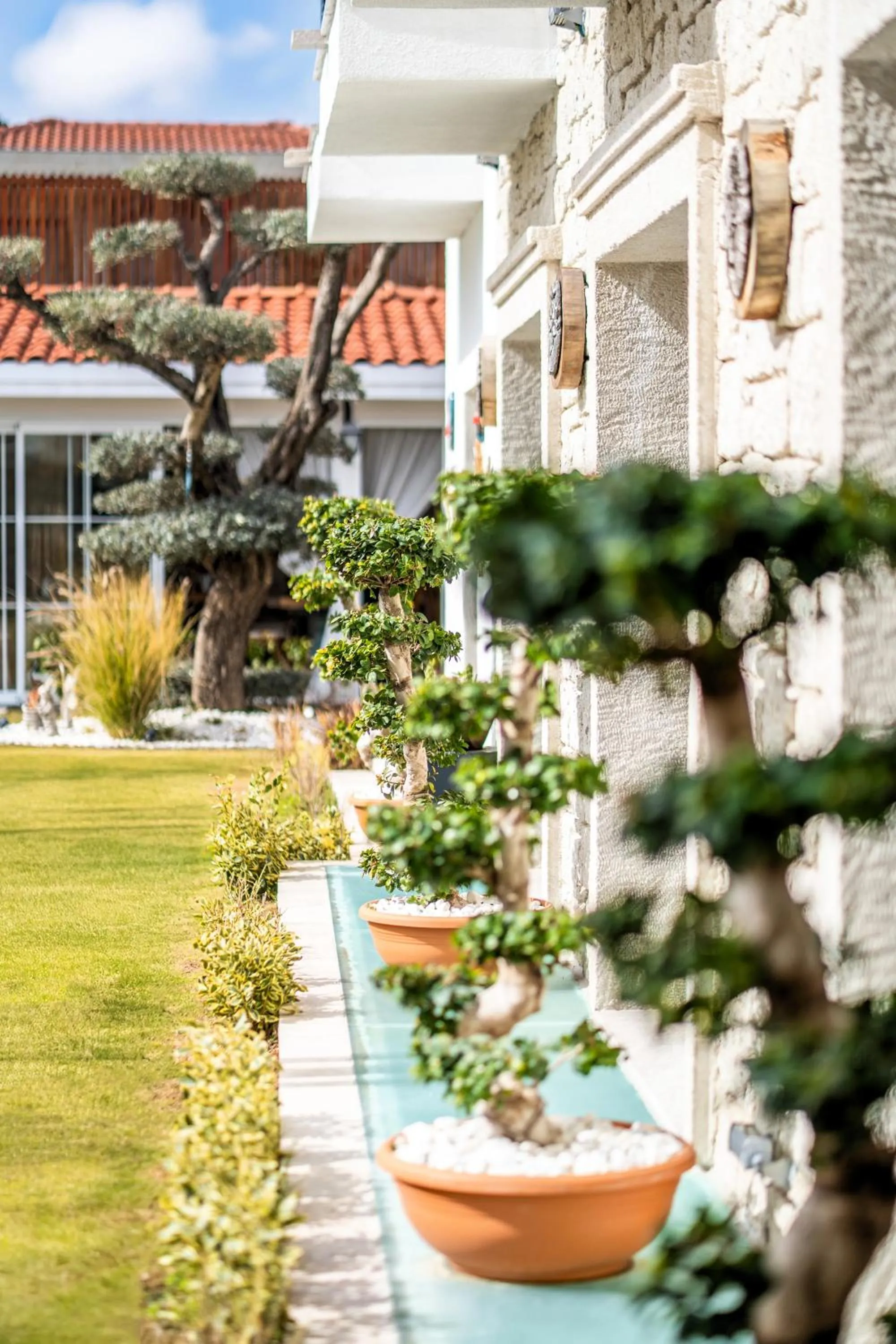 Spring in Zaena Hotel Alaçatı