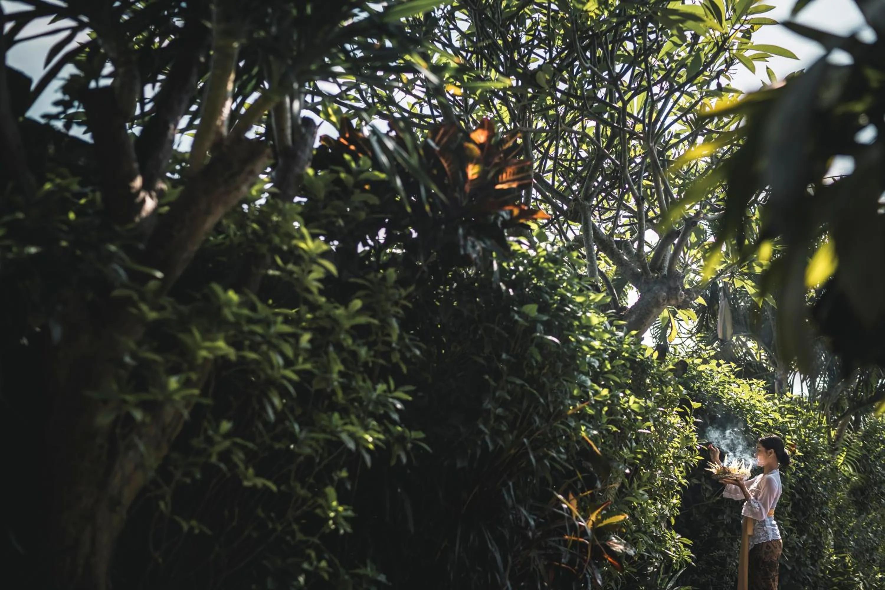 Garden in Aradhana Villas by Ekosistem