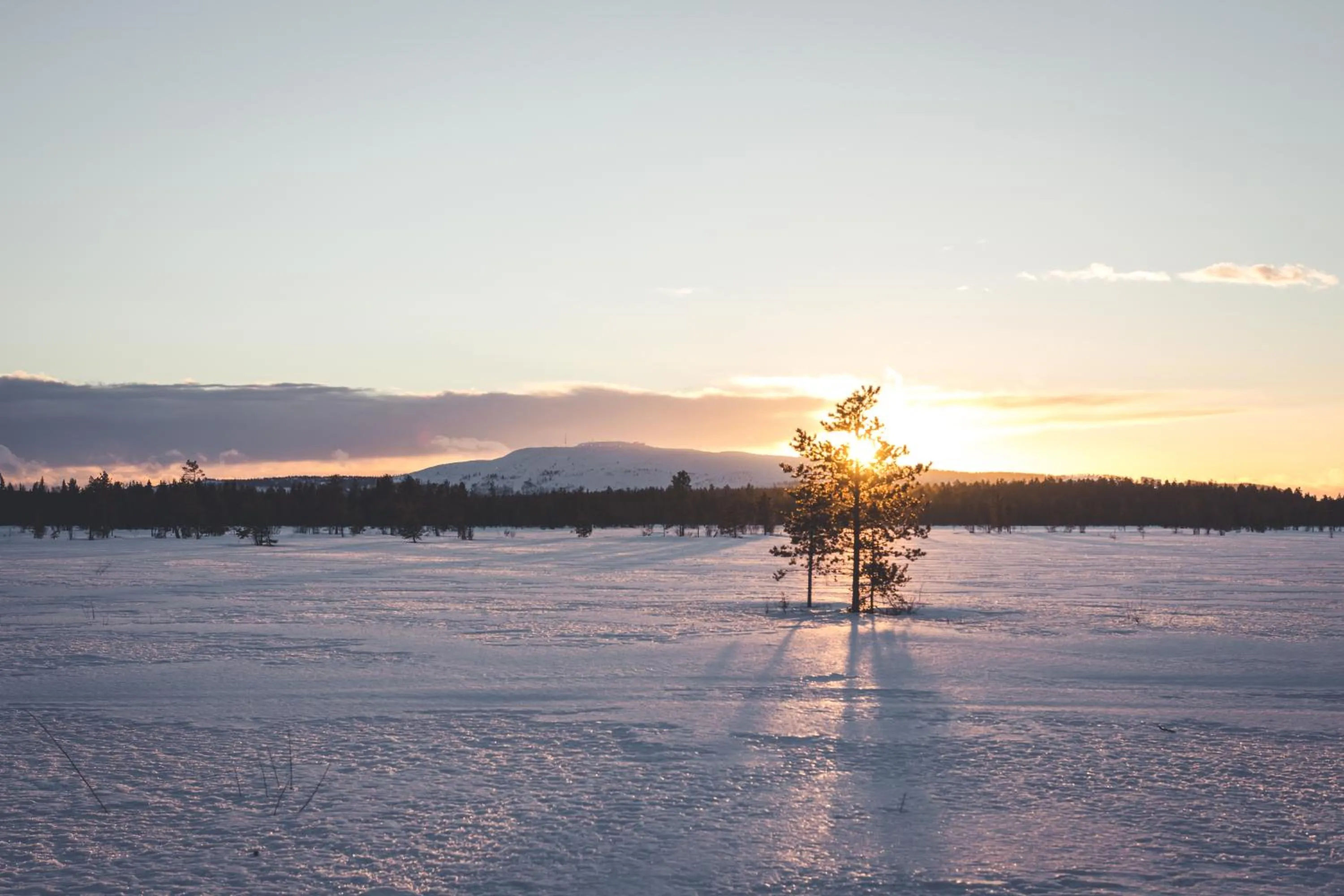 Natural landscape in Elves Village Hotel