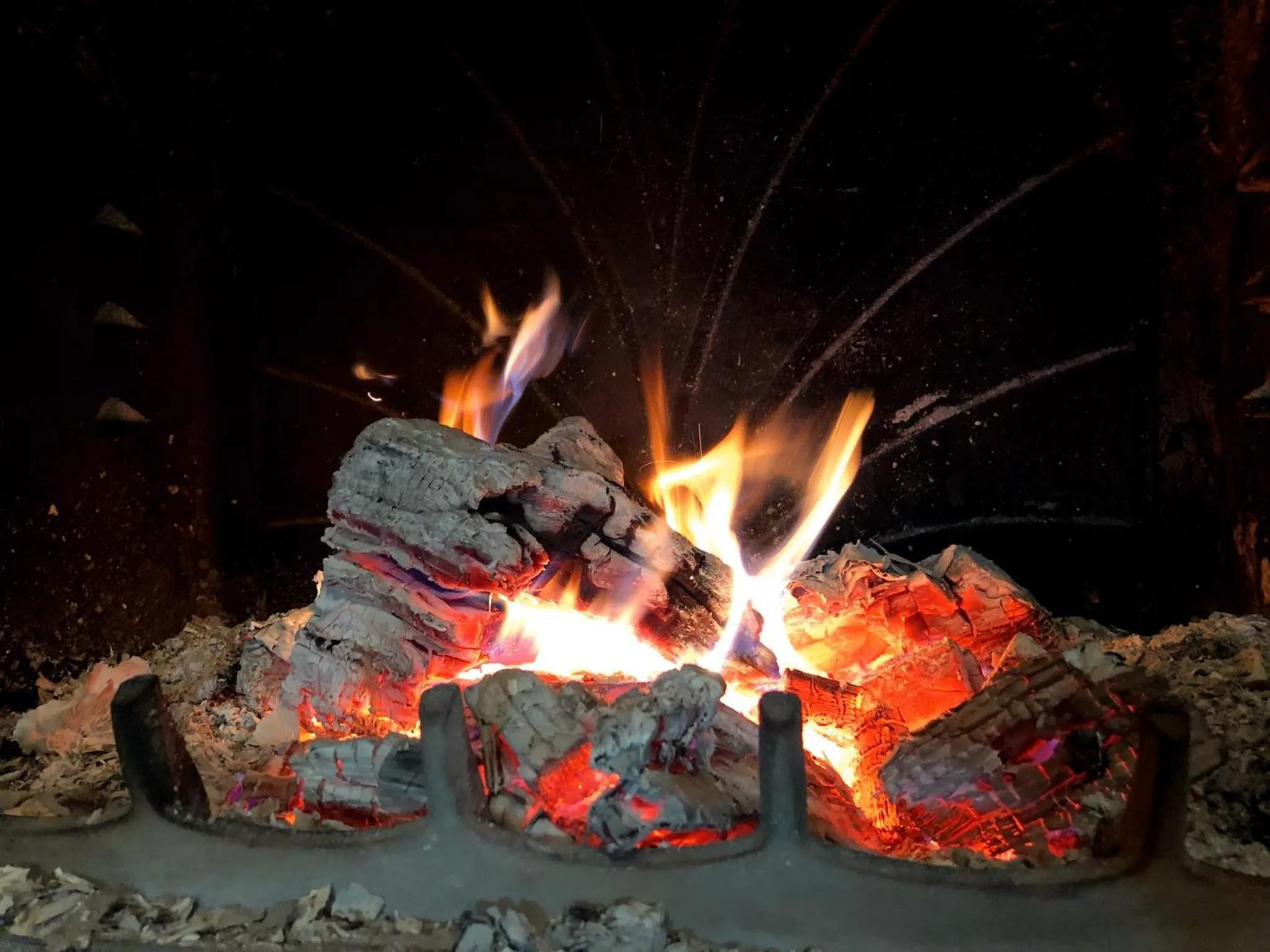 Library in Willa Silesia